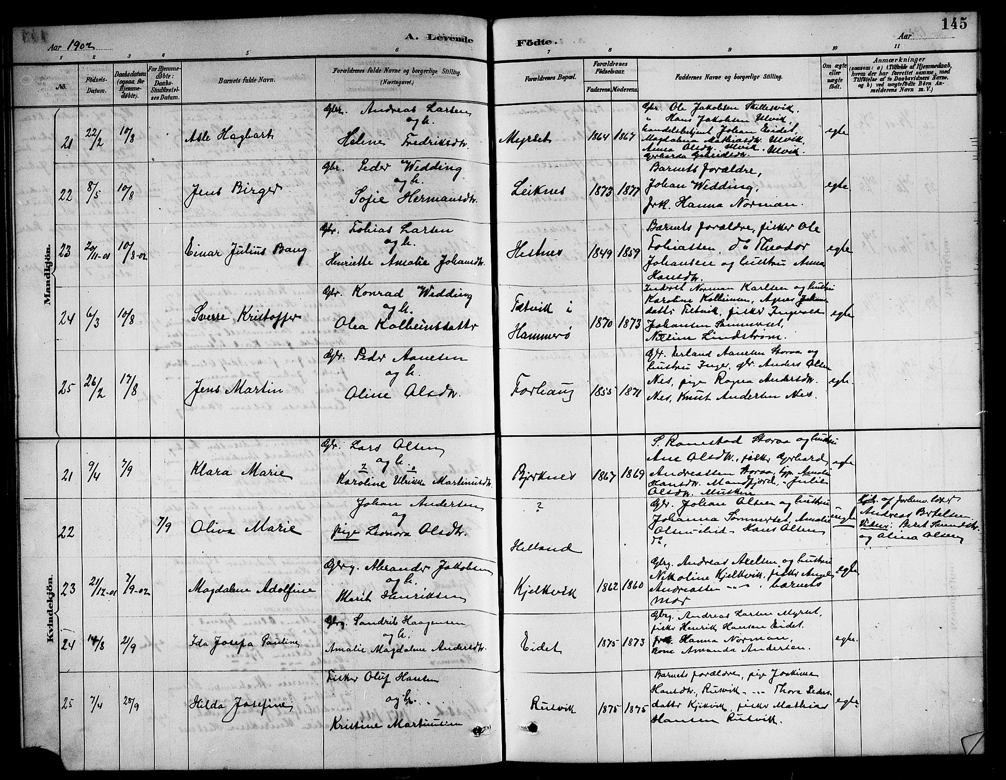 Ministerialprotokoller, klokkerbøker og fødselsregistre - Nordland, SAT/A-1459/861/L0876: Parish register (copy) no. 861C02, 1887-1903, p. 145