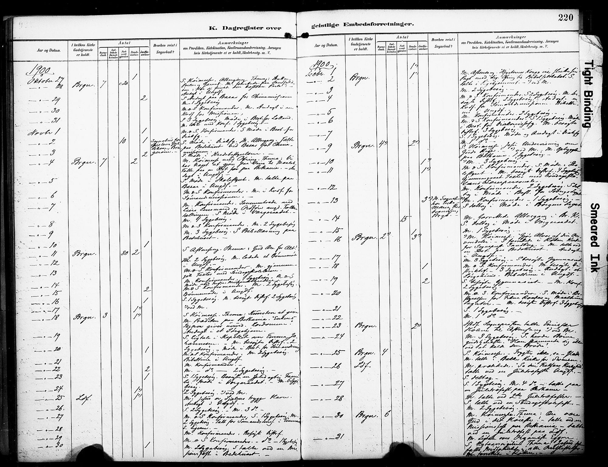 Bragernes kirkebøker, AV/SAKO-A-6/F/Fc/L0006: Parish register (official) no. III 6, 1888-1899, p. 220