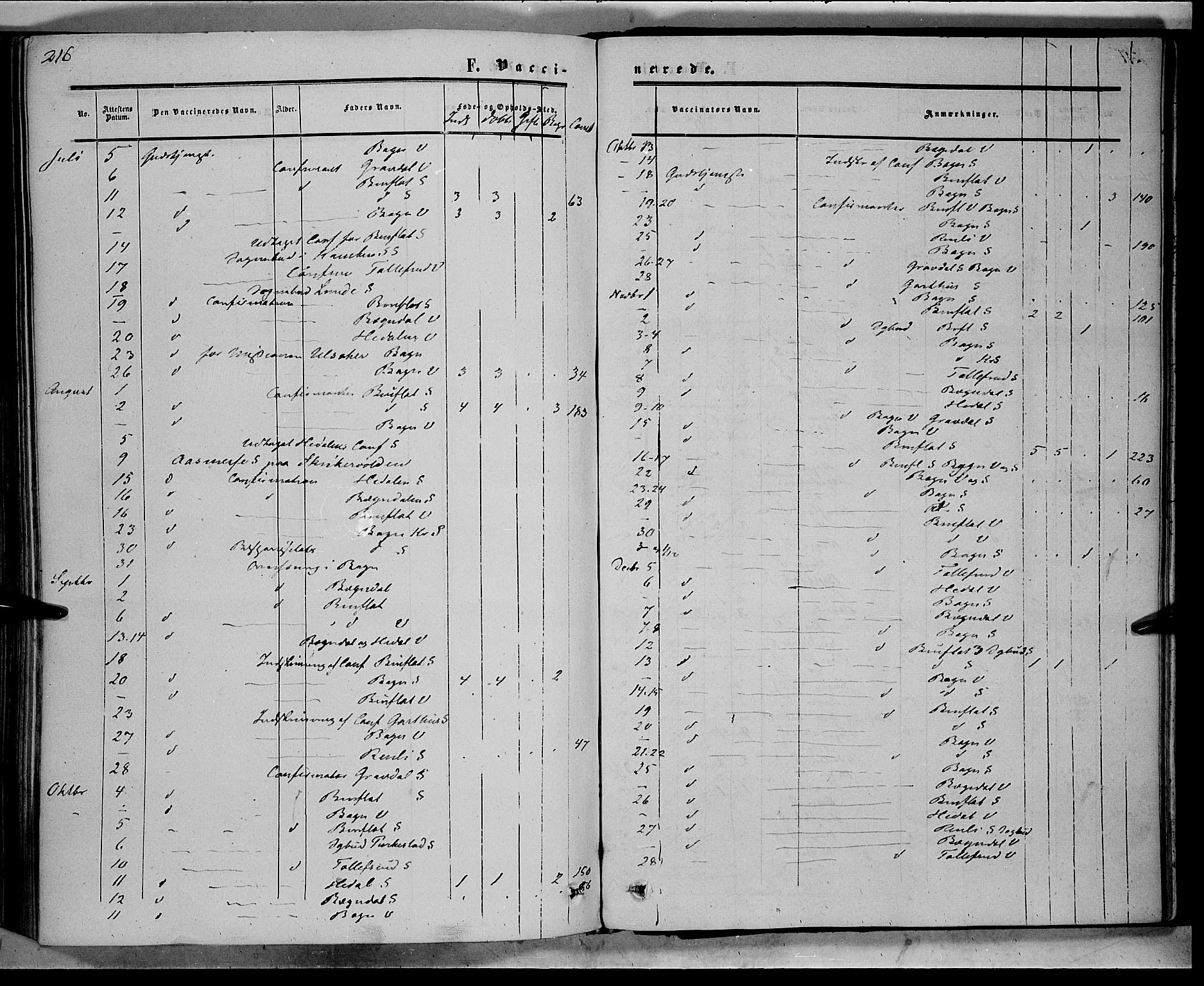 Sør-Aurdal prestekontor, SAH/PREST-128/H/Ha/Haa/L0007: Parish register (official) no. 7, 1849-1876, p. 216