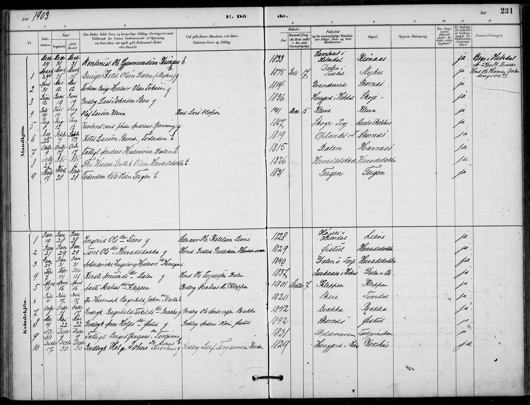 Hjartdal kirkebøker, SAKO/A-270/F/Fb/L0002: Parish register (official) no. II 2, 1880-1932, p. 231