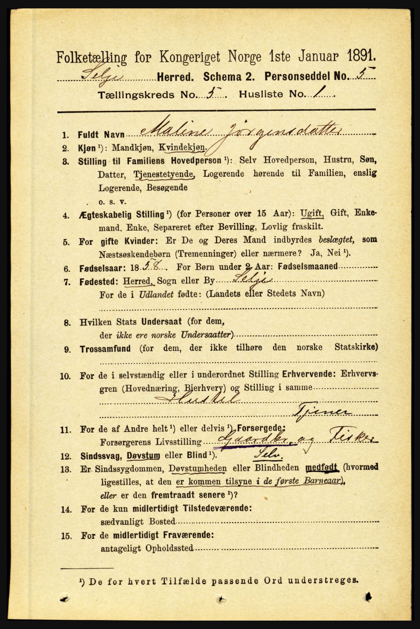 RA, 1891 census for 1441 Selje, 1891, p. 1402