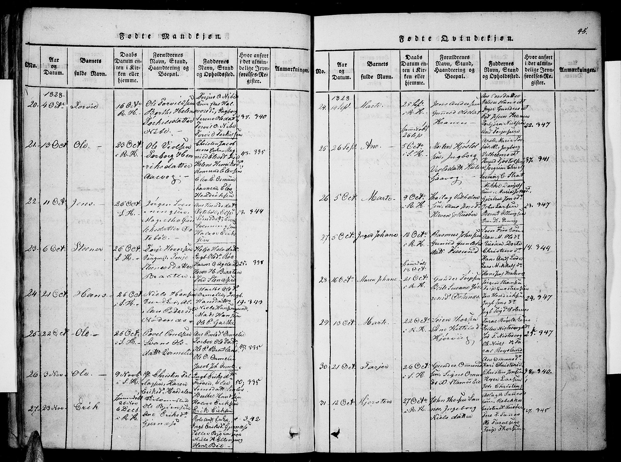 Søndeled sokneprestkontor, AV/SAK-1111-0038/F/Fa/L0001: Parish register (official) no. A 1, 1816-1838, p. 45