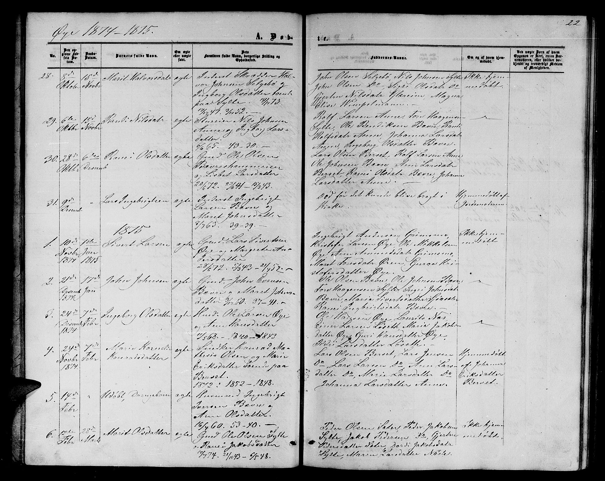 Ministerialprotokoller, klokkerbøker og fødselsregistre - Møre og Romsdal, AV/SAT-A-1454/595/L1051: Parish register (copy) no. 595C03, 1866-1891, p. 22