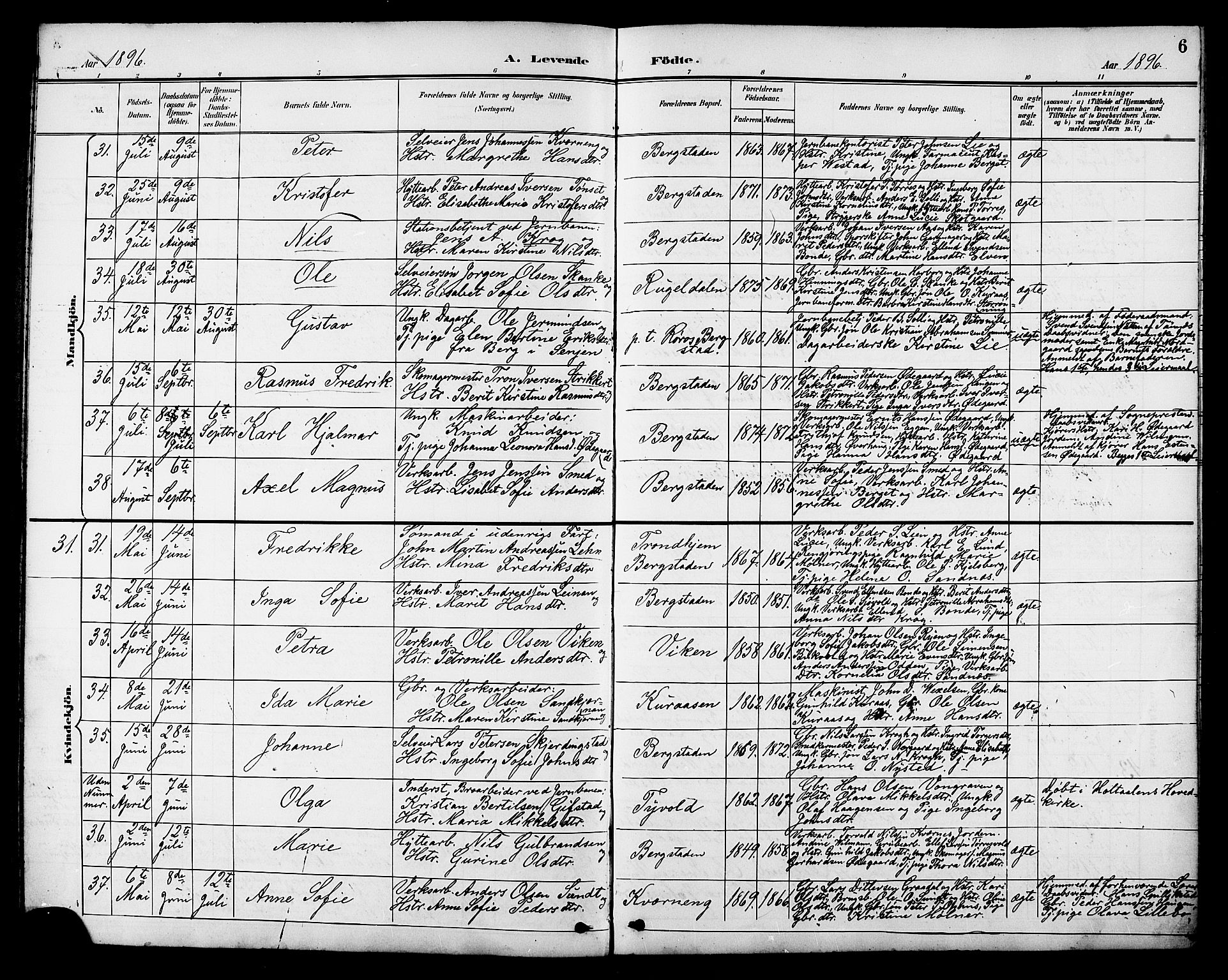 Ministerialprotokoller, klokkerbøker og fødselsregistre - Sør-Trøndelag, SAT/A-1456/681/L0941: Parish register (copy) no. 681C05, 1896-1905, p. 6