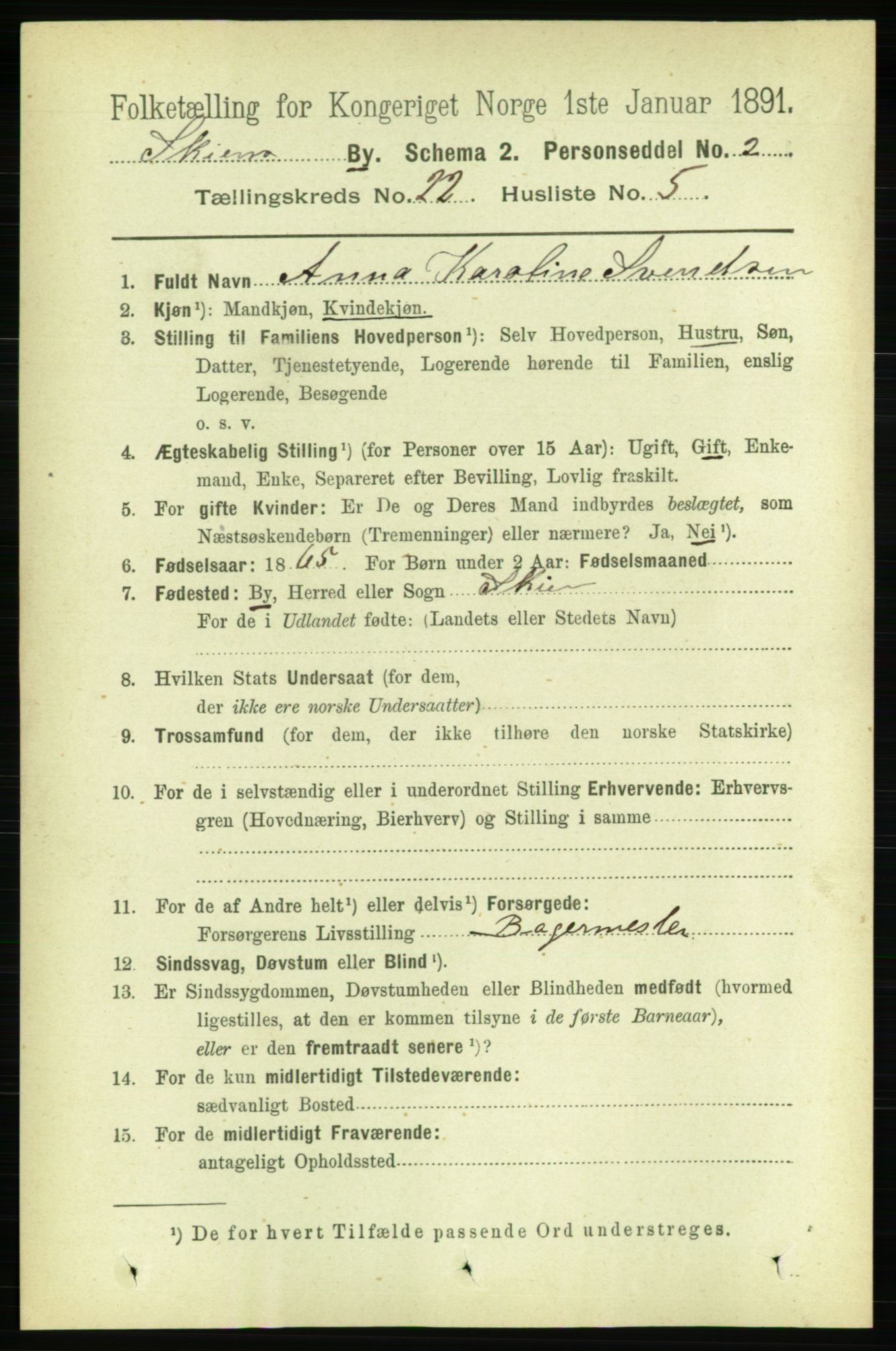 RA, 1891 census for 0806 Skien, 1891, p. 5719