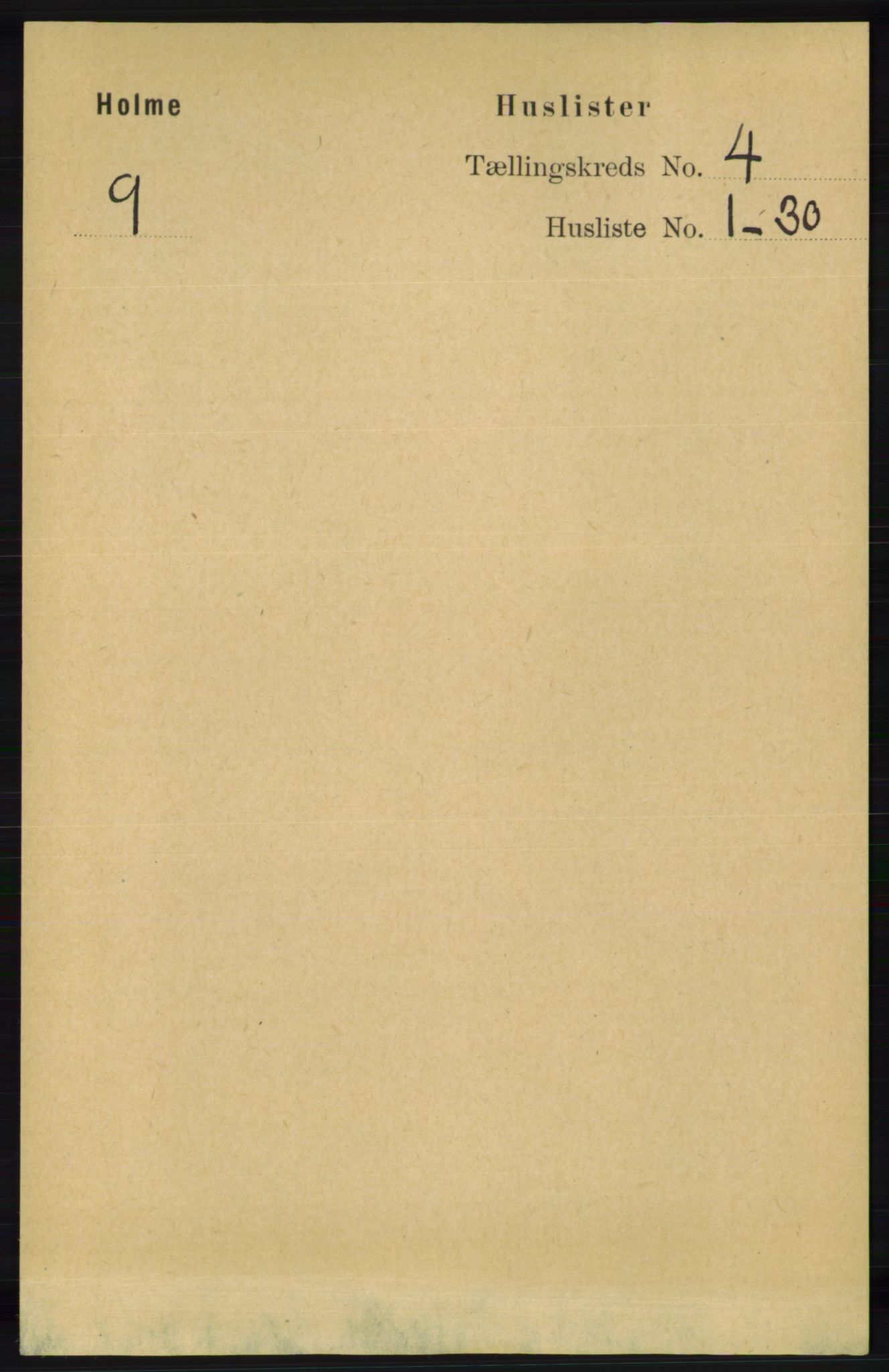 RA, 1891 census for 1020 Holum, 1891, p. 1000