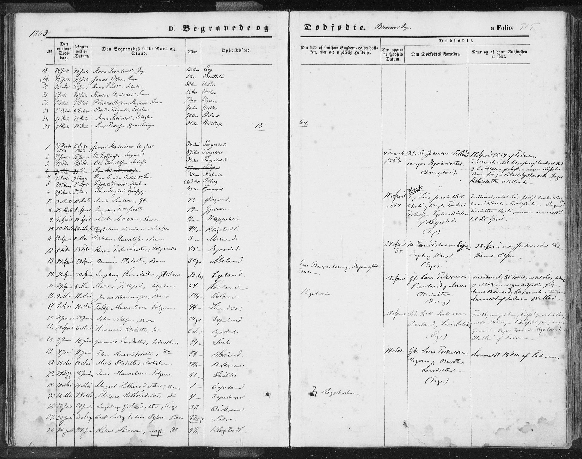 Helleland sokneprestkontor, SAST/A-101810: Parish register (official) no. A 7.2, 1863-1886, p. 365