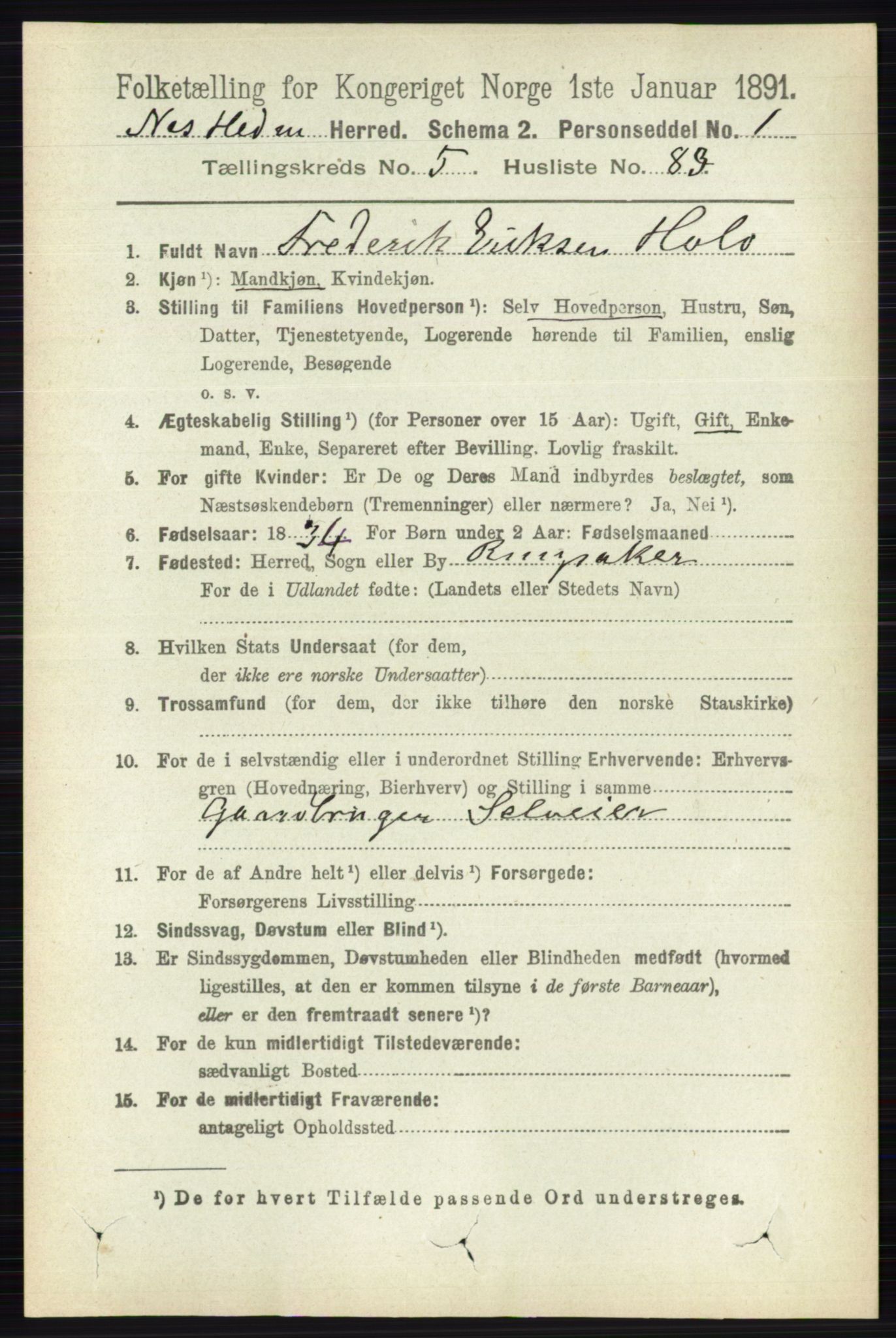 RA, 1891 census for 0411 Nes, 1891, p. 3139