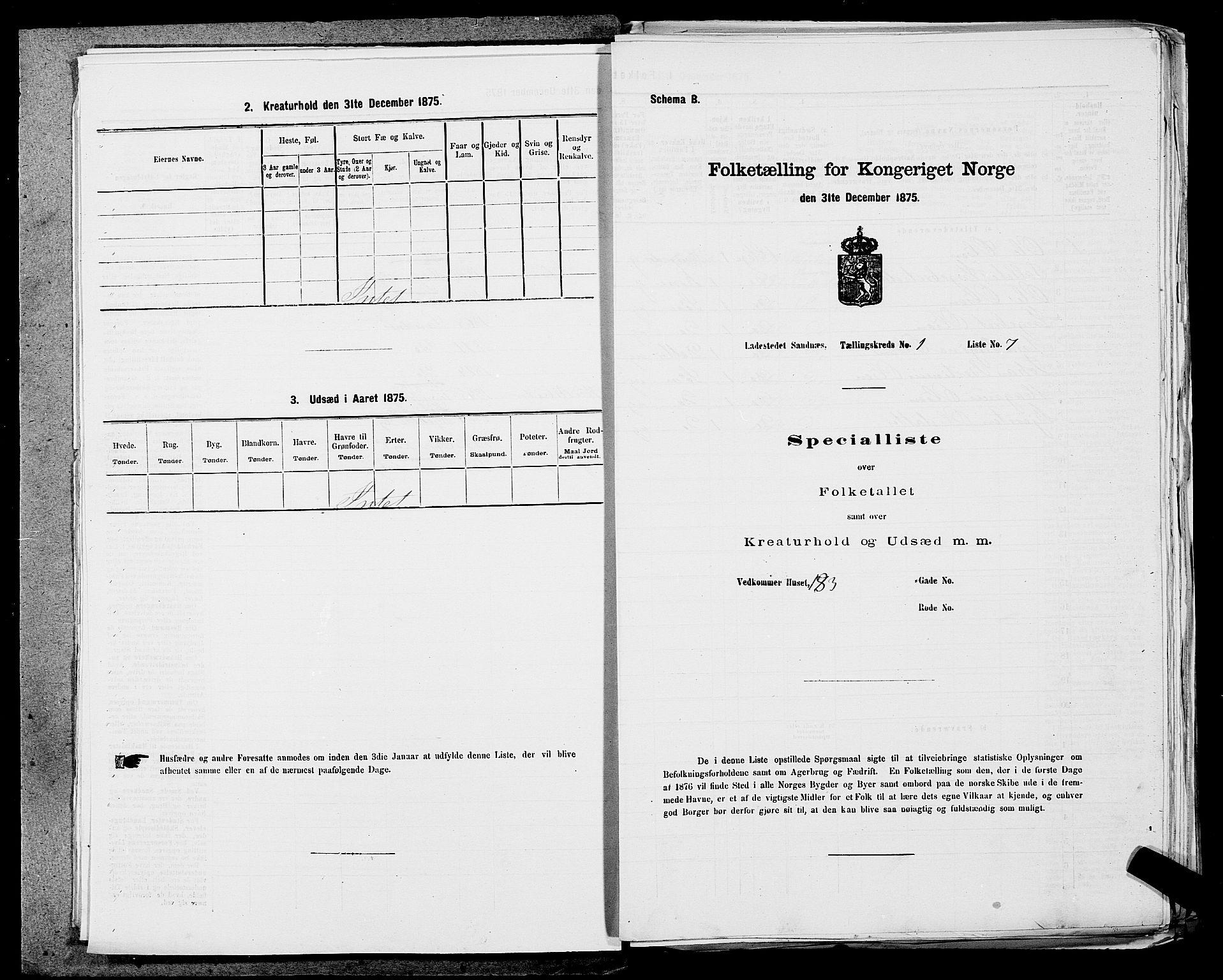 SAST, 1875 census for 1102B Høyland/Sandnes, 1875, p. 13