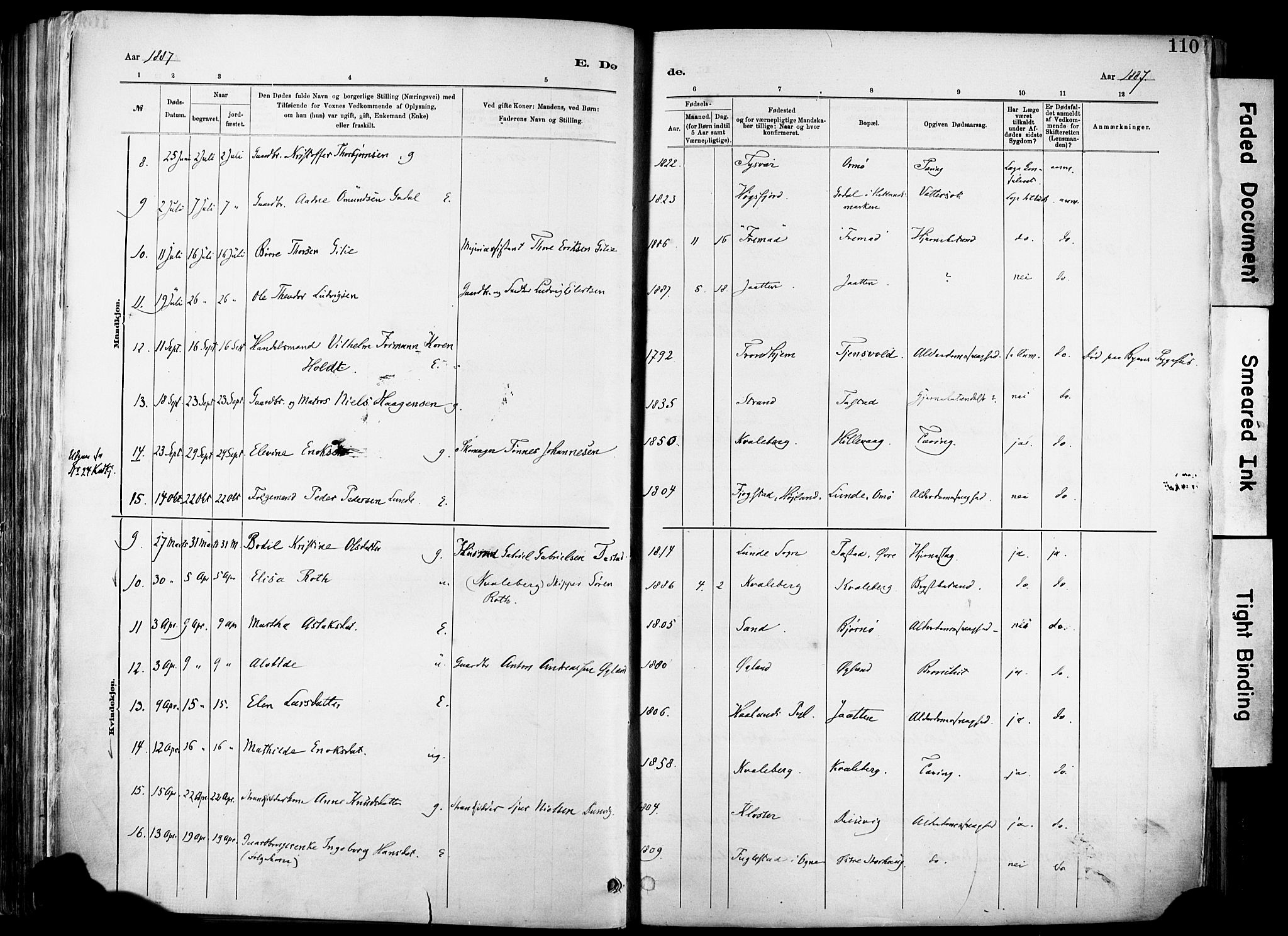 Hetland sokneprestkontor, AV/SAST-A-101826/30/30BA/L0012: Parish register (official) no. A 12, 1882-1912, p. 110