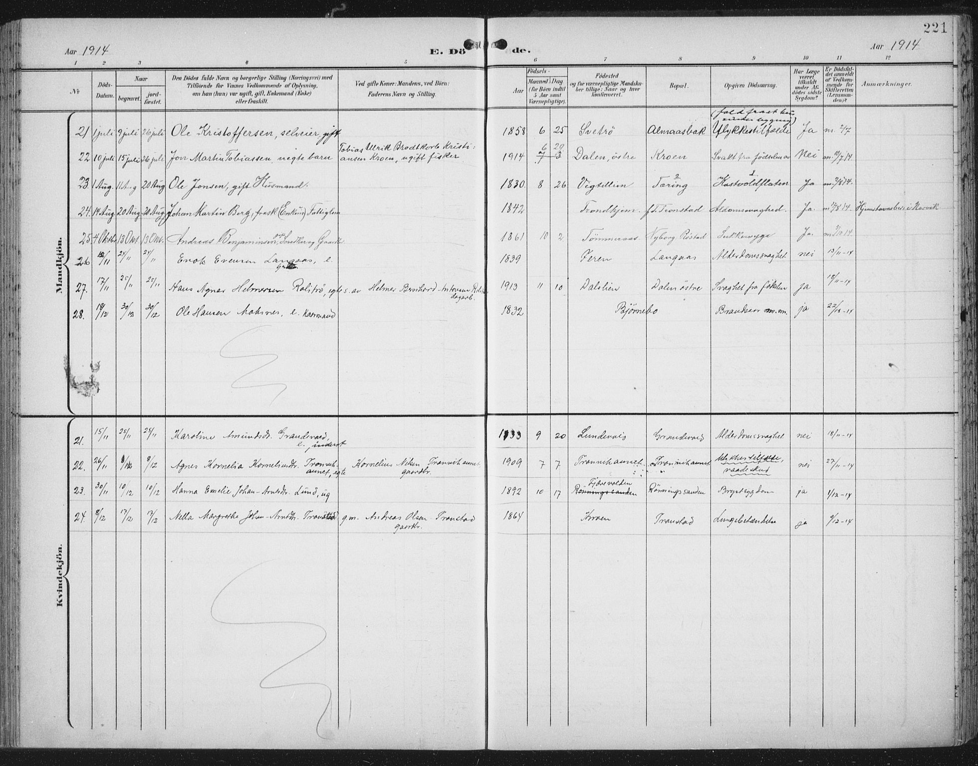 Ministerialprotokoller, klokkerbøker og fødselsregistre - Nord-Trøndelag, AV/SAT-A-1458/701/L0011: Parish register (official) no. 701A11, 1899-1915, p. 221