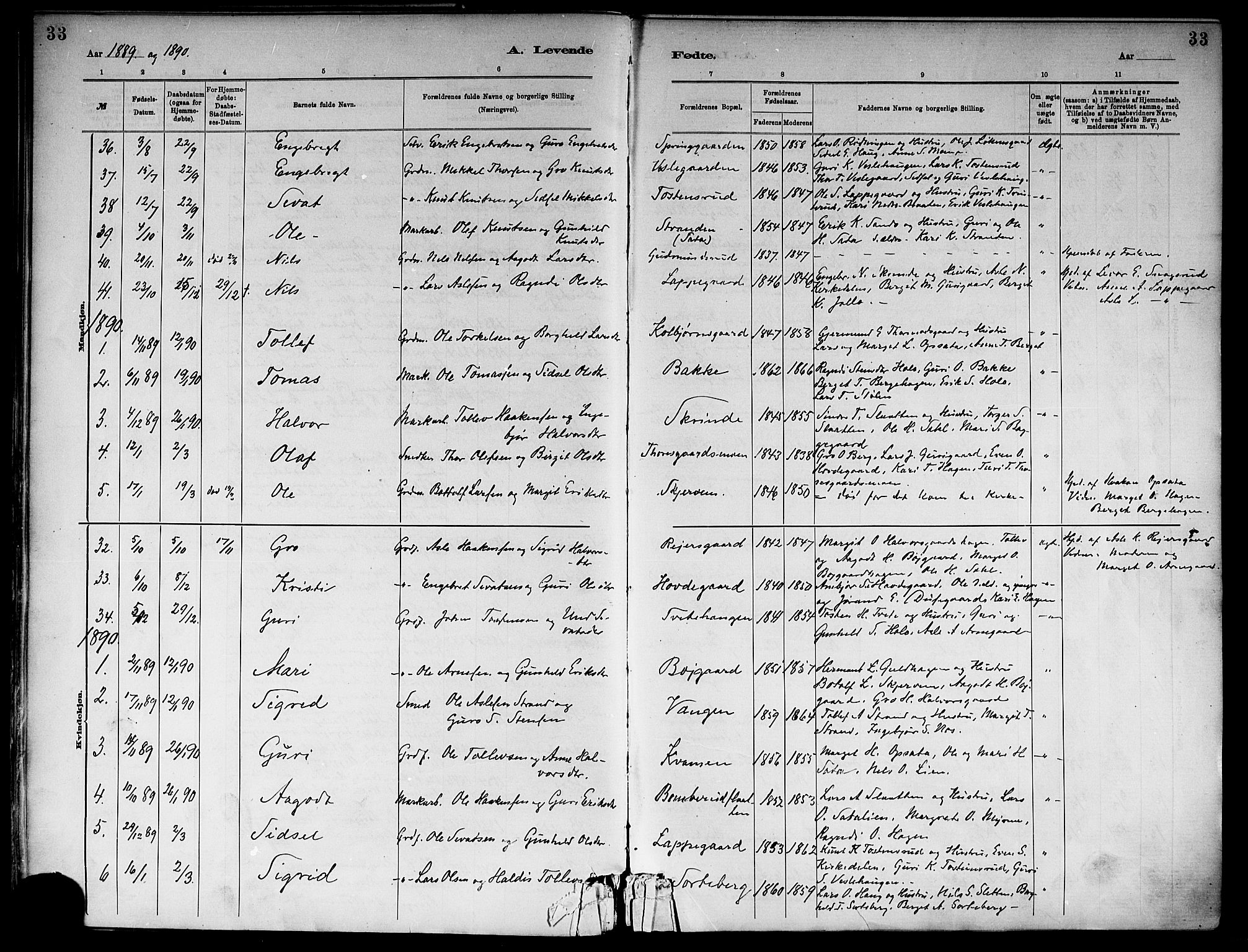 Ål kirkebøker, SAKO/A-249/F/Fa/L0008: Parish register (official) no. I 8, 1882-1896, p. 33