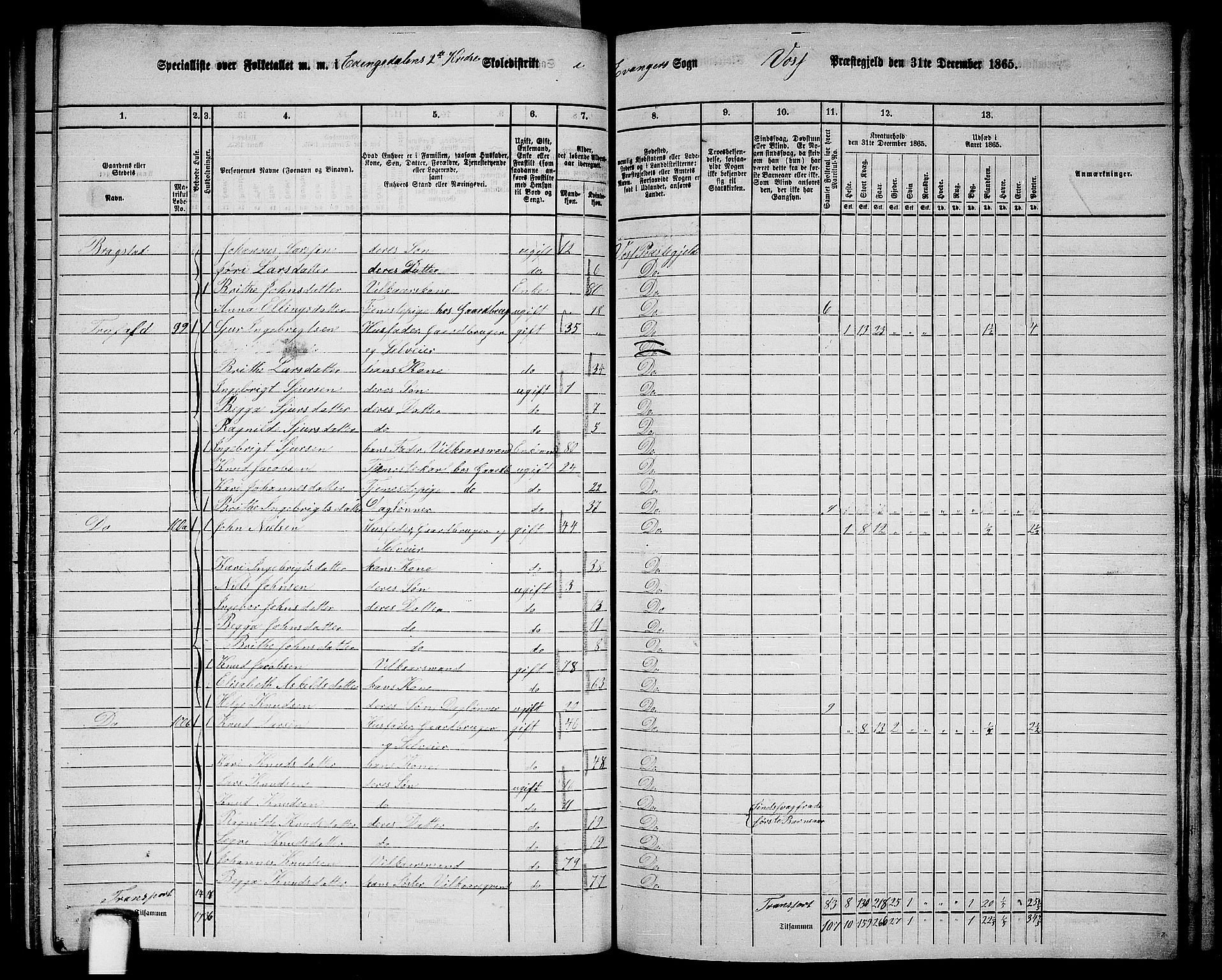 RA, 1865 census for Voss, 1865, p. 359