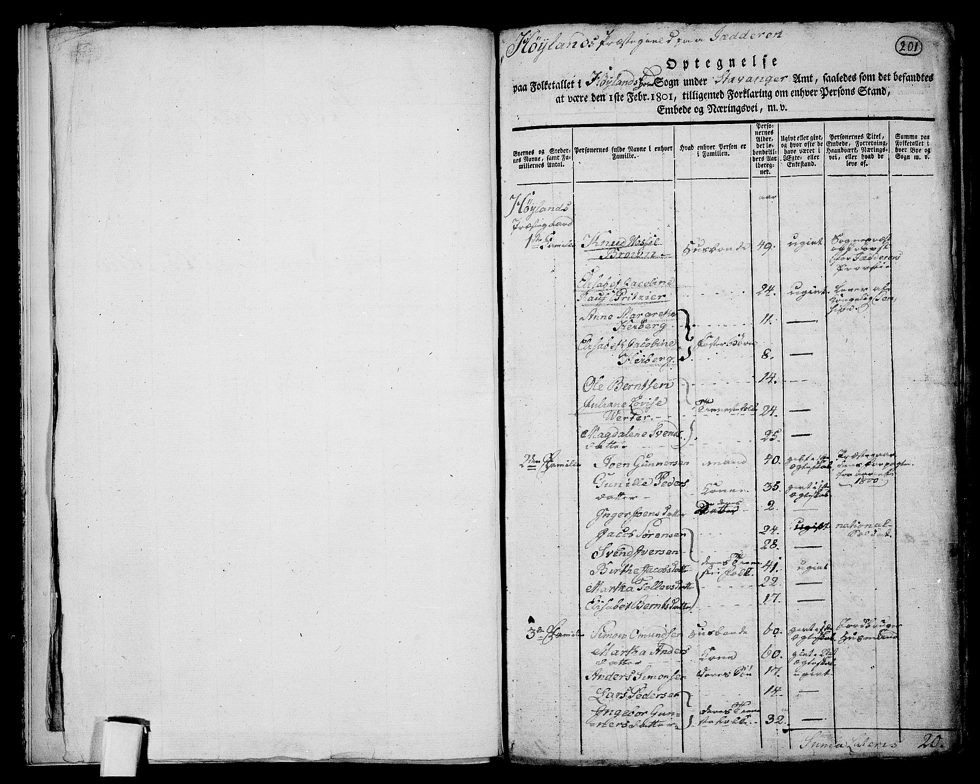 RA, 1801 census for 1123P Høyland, 1801, p. 201a