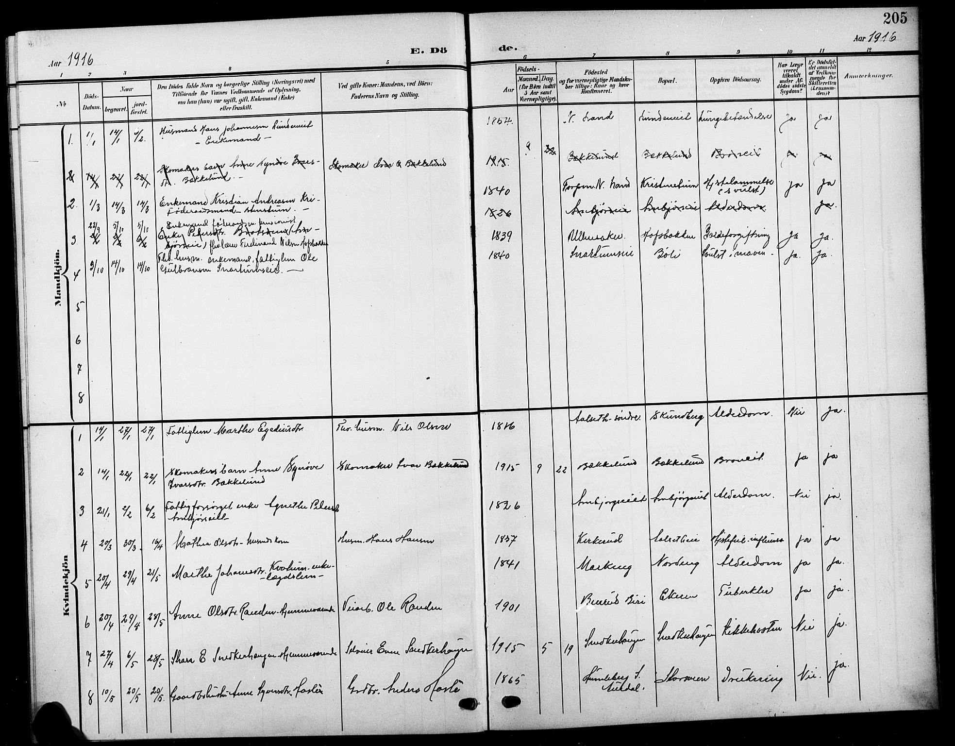 Biri prestekontor, SAH/PREST-096/H/Ha/Hab/L0005: Parish register (copy) no. 5, 1906-1919, p. 205
