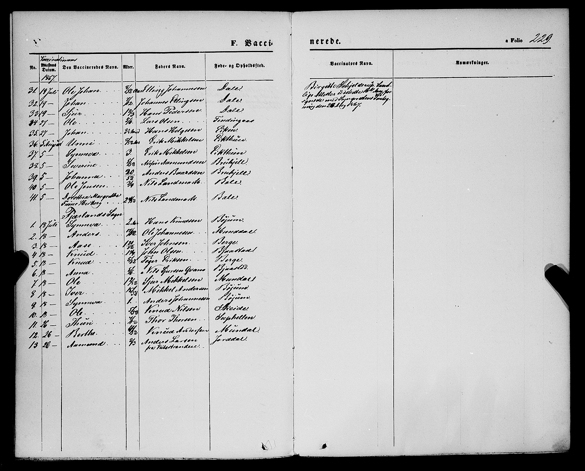 Balestrand sokneprestembete, AV/SAB-A-79601/H/Haa/Haaa/L0003: Parish register (official) no. A 3, 1867-1878, p. 229