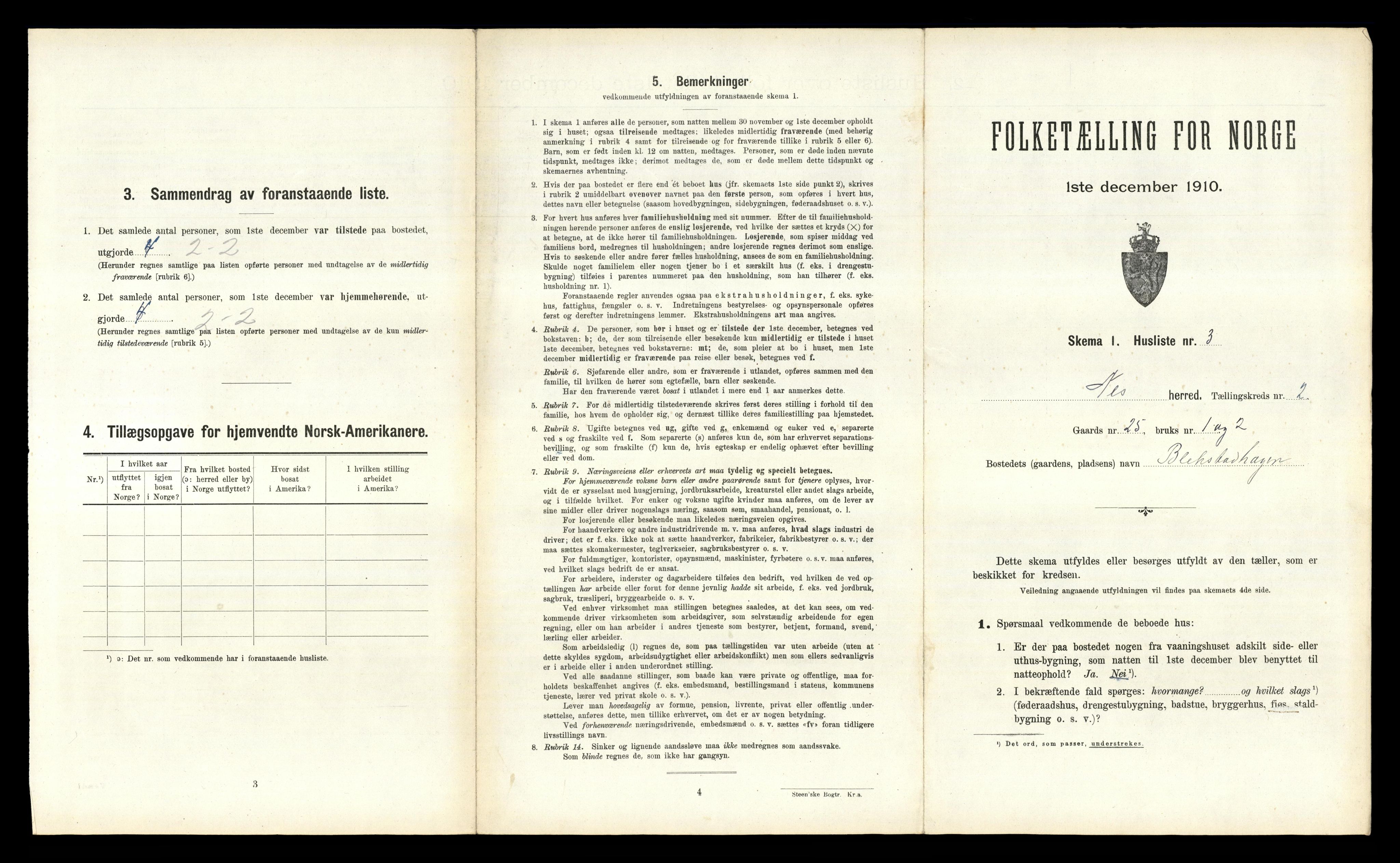 RA, 1910 census for Nes, 1910, p. 388