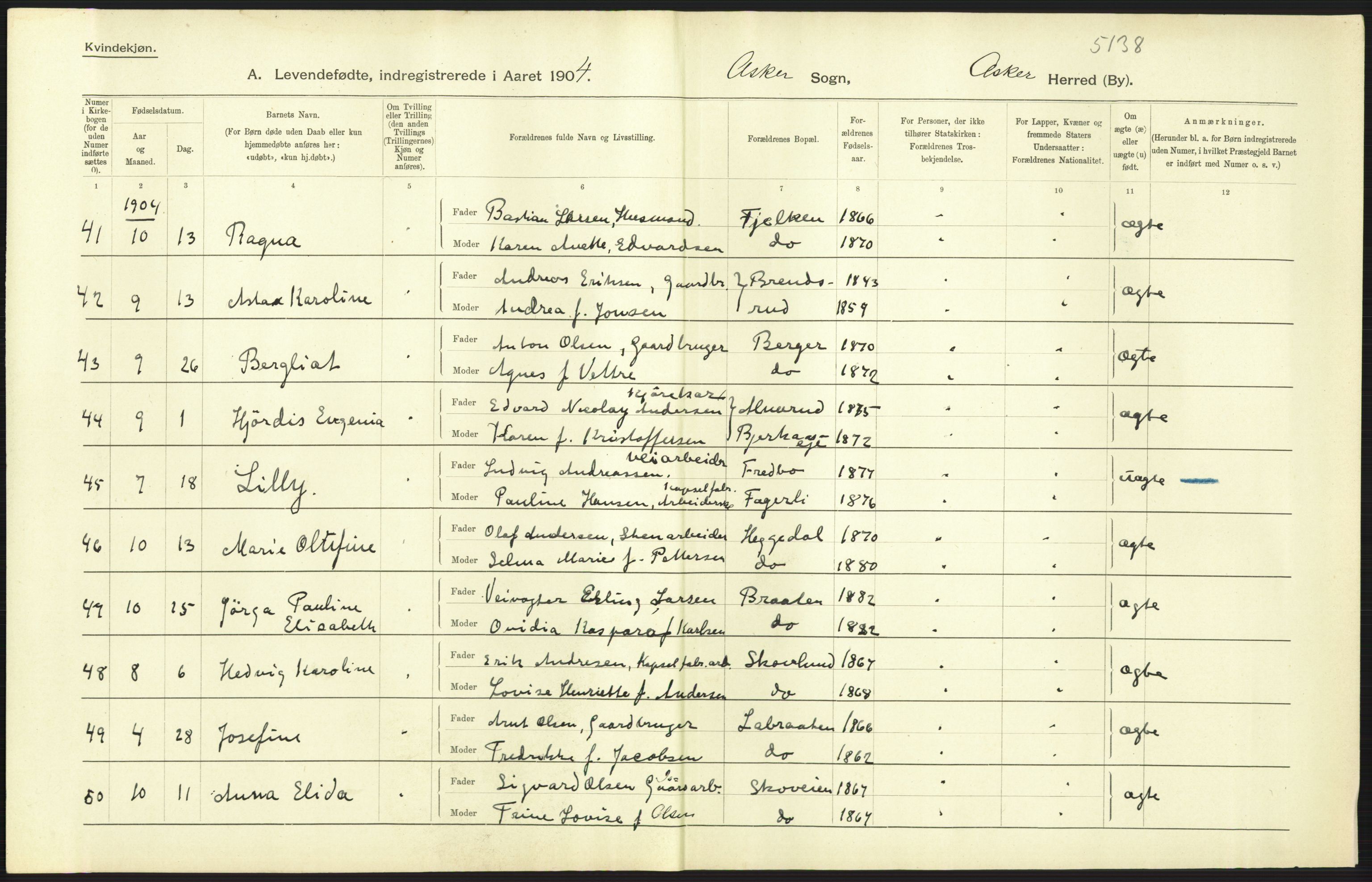 Statistisk sentralbyrå, Sosiodemografiske emner, Befolkning, AV/RA-S-2228/D/Df/Dfa/Dfab/L0002: Akershus amt: Fødte, gifte, døde, 1904, p. 55