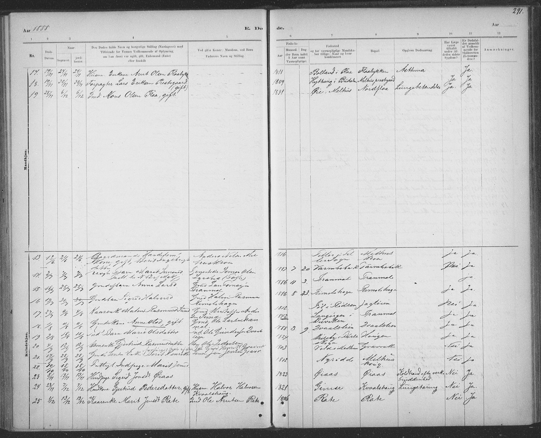 Ministerialprotokoller, klokkerbøker og fødselsregistre - Sør-Trøndelag, AV/SAT-A-1456/691/L1085: Parish register (official) no. 691A17, 1887-1908, p. 291