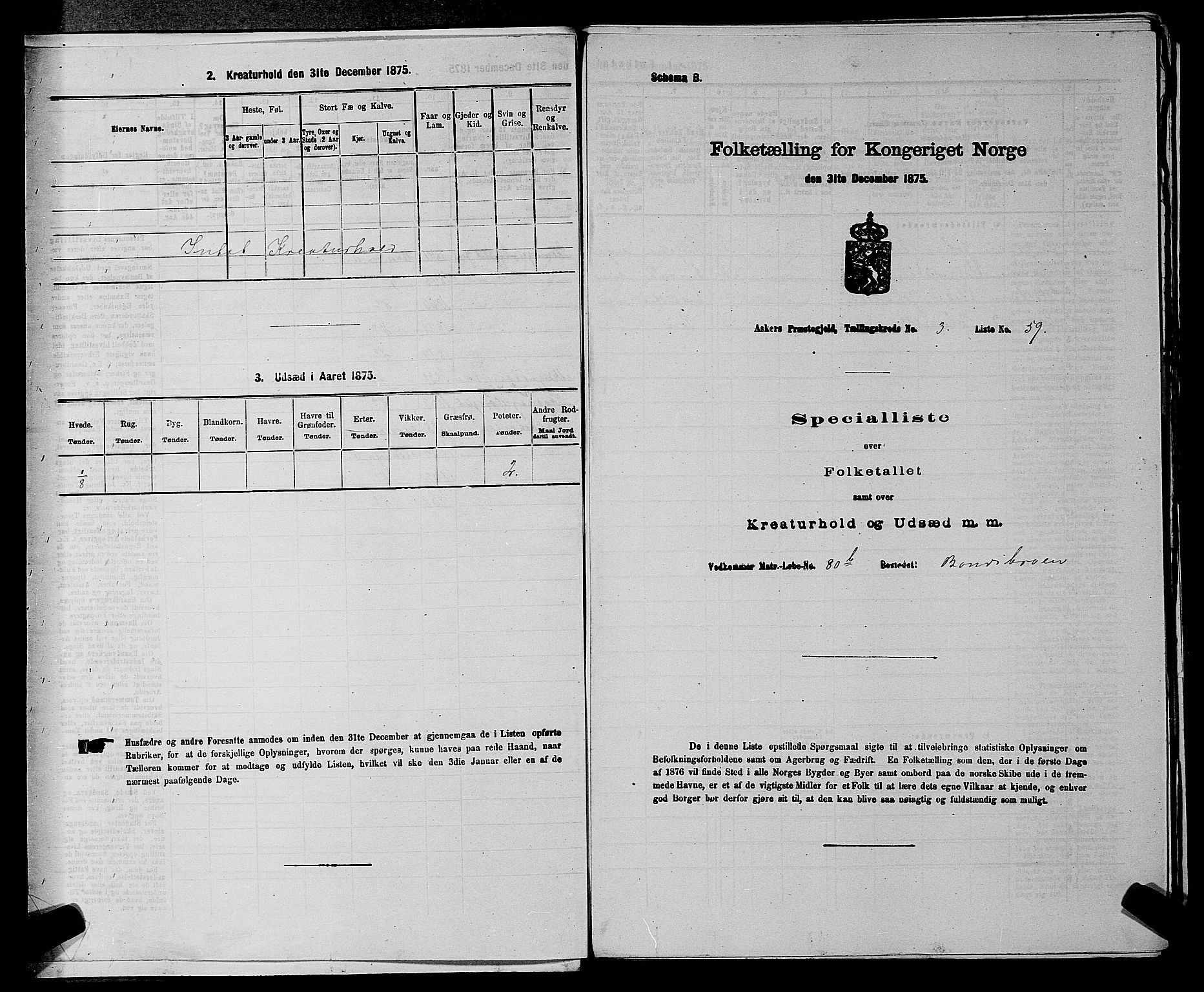 RA, 1875 census for 0220P Asker, 1875, p. 536