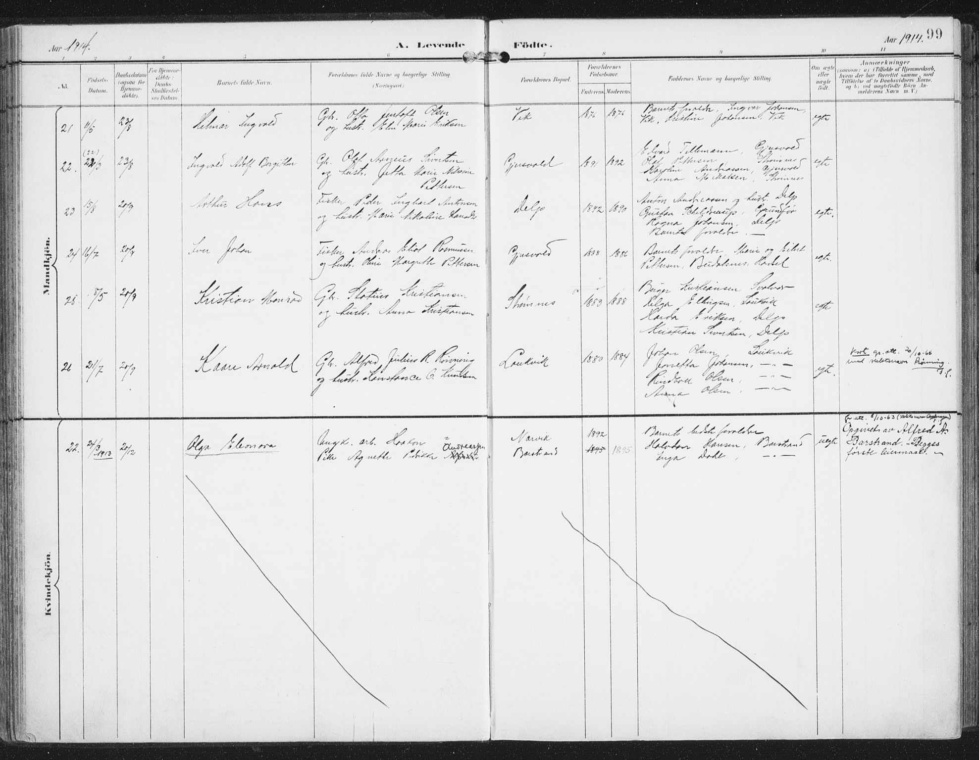 Ministerialprotokoller, klokkerbøker og fødselsregistre - Nordland, AV/SAT-A-1459/876/L1098: Parish register (official) no. 876A04, 1896-1915, p. 99