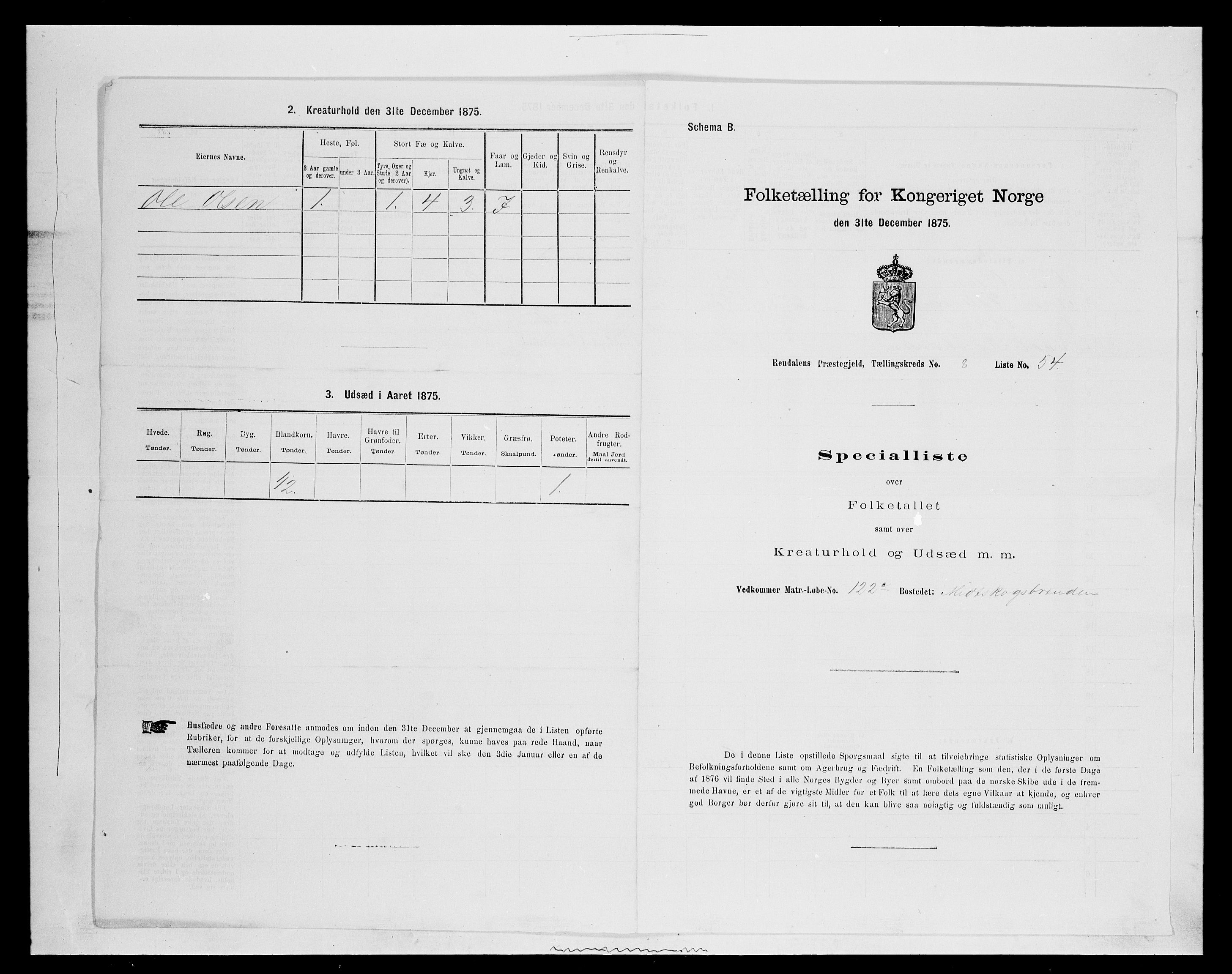 SAH, 1875 census for 0432P Rendalen, 1875, p. 808