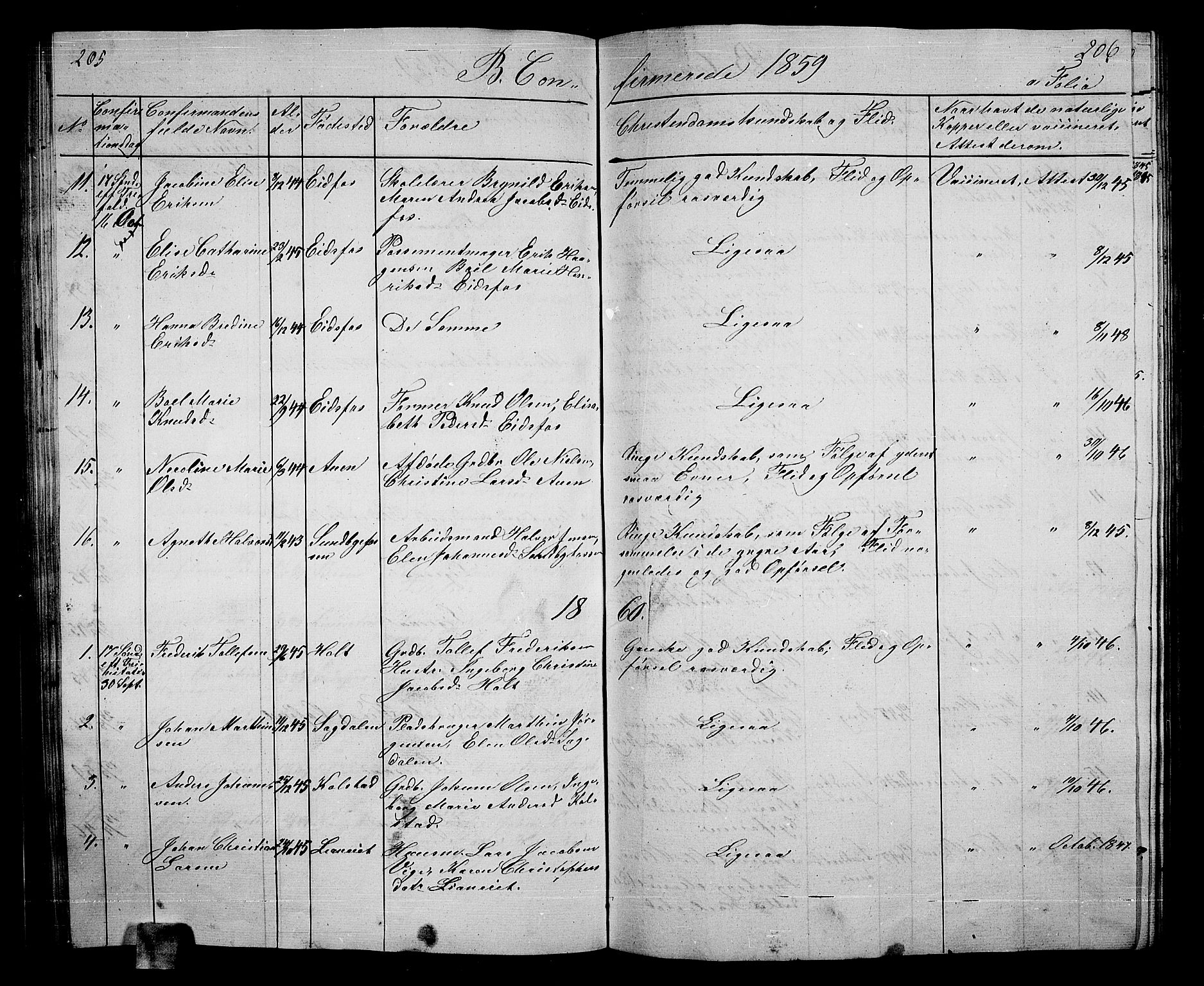 Hof kirkebøker, SAKO/A-64/G/Ga/L0002: Parish register (copy) no. I 2, 1859-1873, p. 205-206