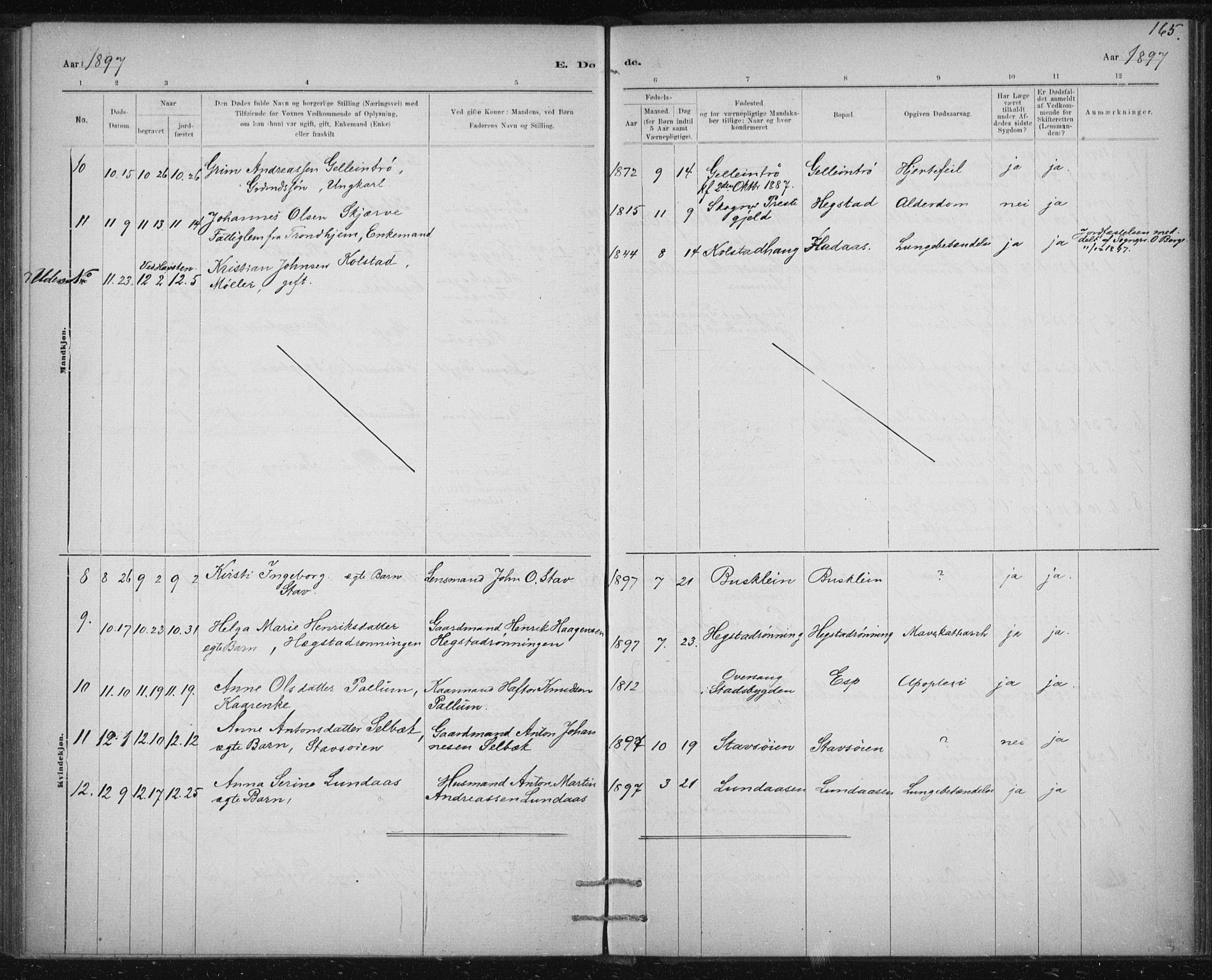 Ministerialprotokoller, klokkerbøker og fødselsregistre - Sør-Trøndelag, SAT/A-1456/613/L0392: Parish register (official) no. 613A01, 1887-1906, p. 165