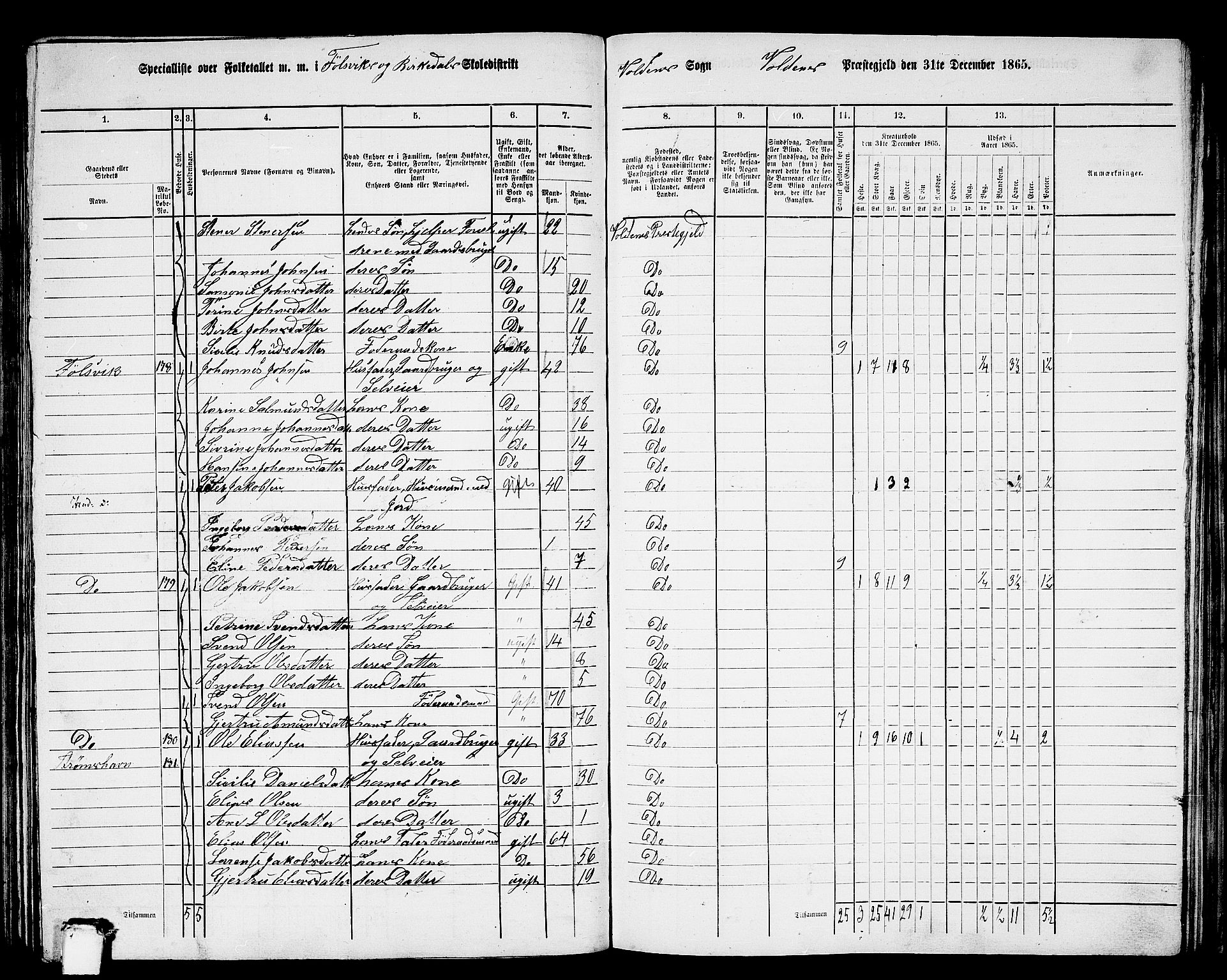 RA, 1865 census for Volda, 1865, p. 111