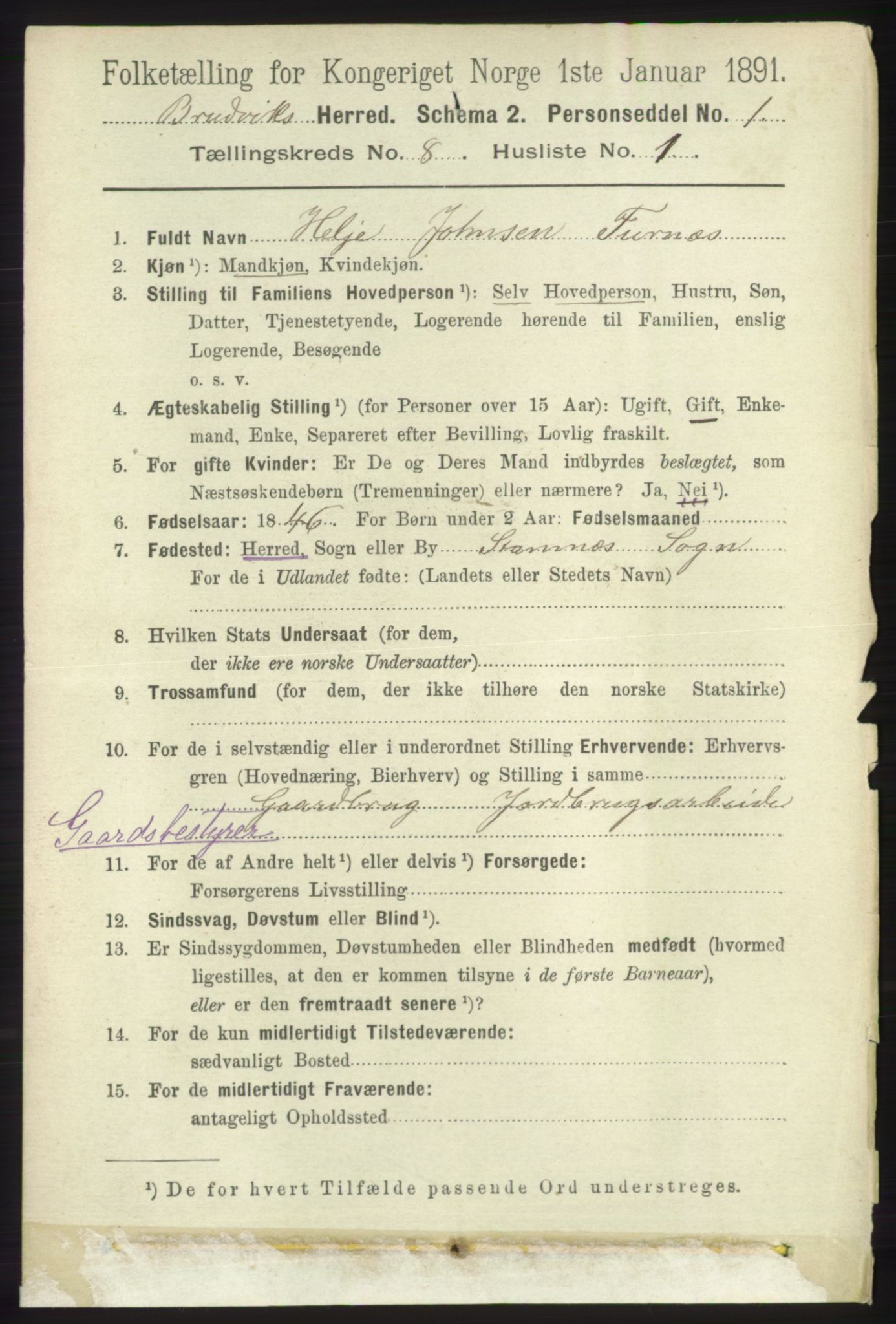 RA, 1891 census for 1251 Bruvik, 1891, p. 2891