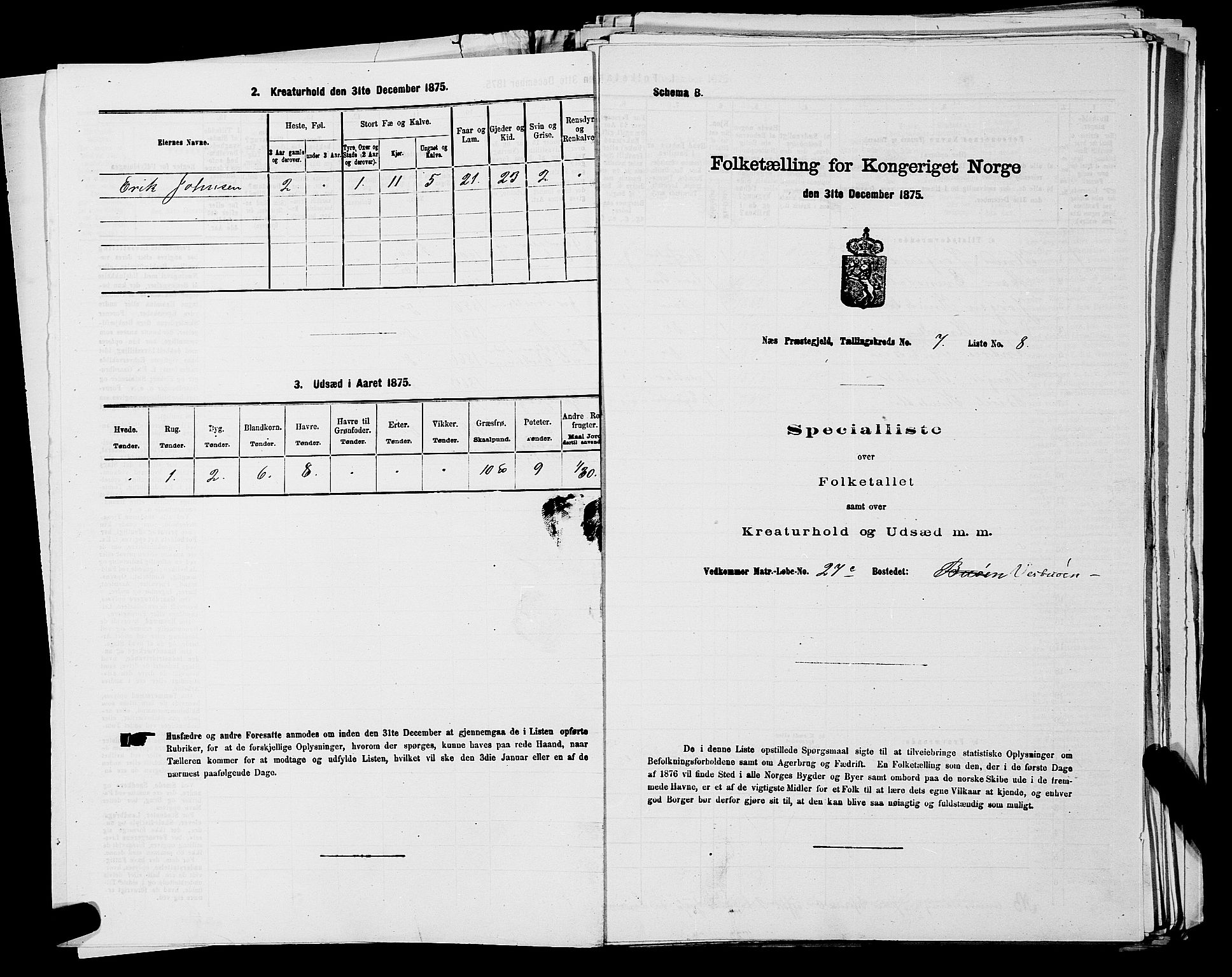 SAKO, 1875 census for 0616P Nes, 1875, p. 1173