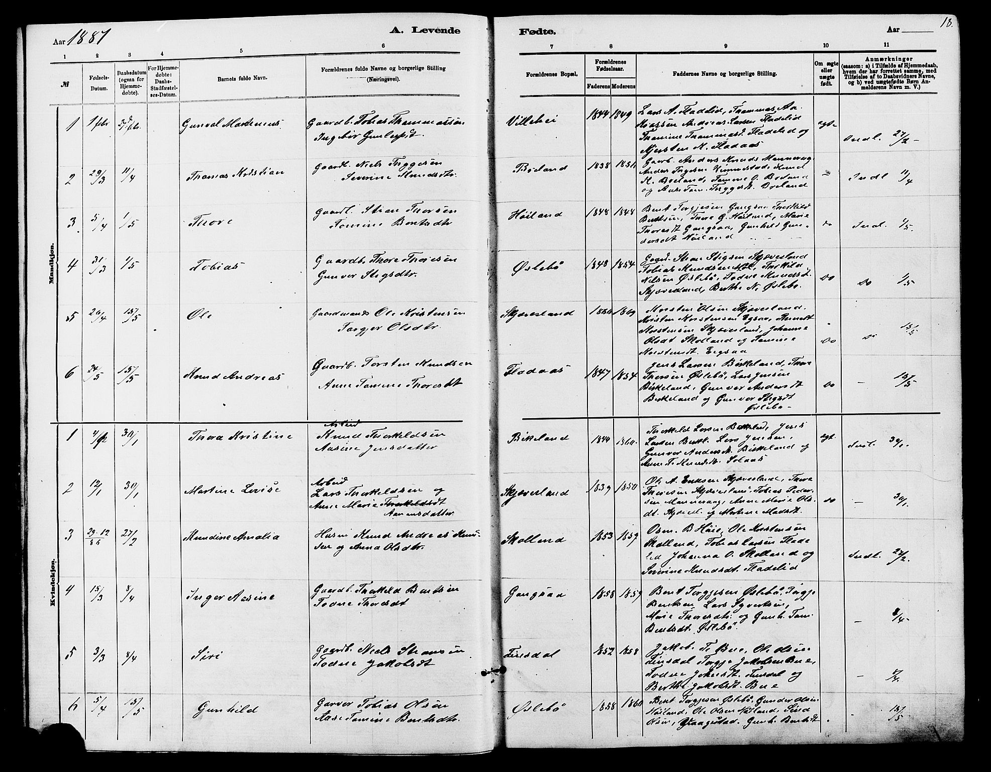 Holum sokneprestkontor, AV/SAK-1111-0022/F/Fb/Fbc/L0003: Parish register (copy) no. B 3, 1882-1908, p. 18