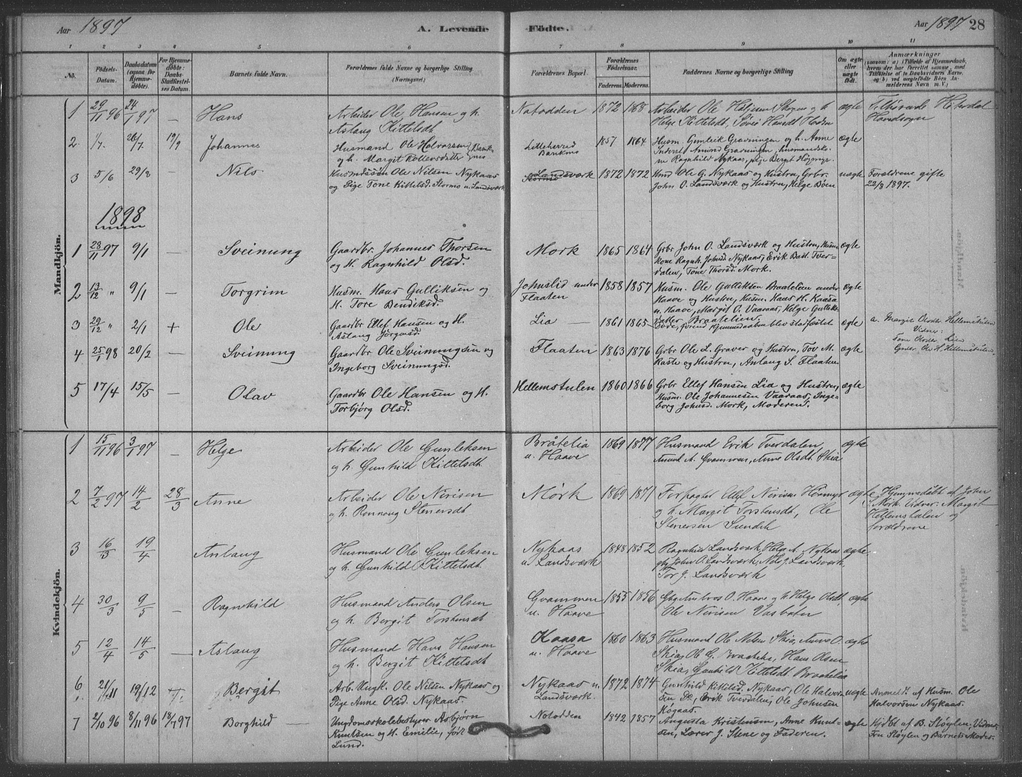 Heddal kirkebøker, AV/SAKO-A-268/F/Fb/L0002: Parish register (official) no. II 2, 1878-1913, p. 28