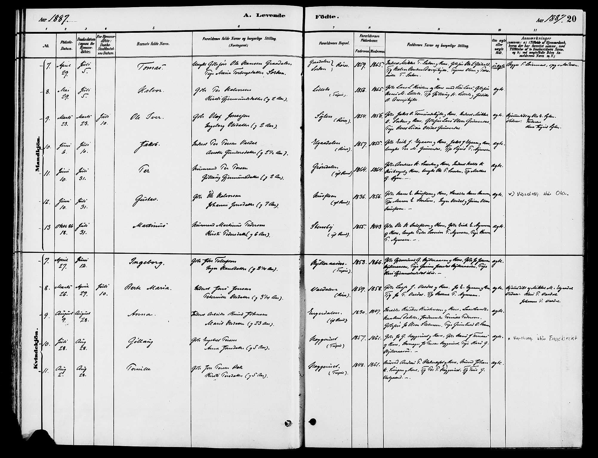 Engerdal prestekontor, AV/SAH-PREST-048/H/Ha/Haa/L0001: Parish register (official) no. 1, 1881-1898, p. 20