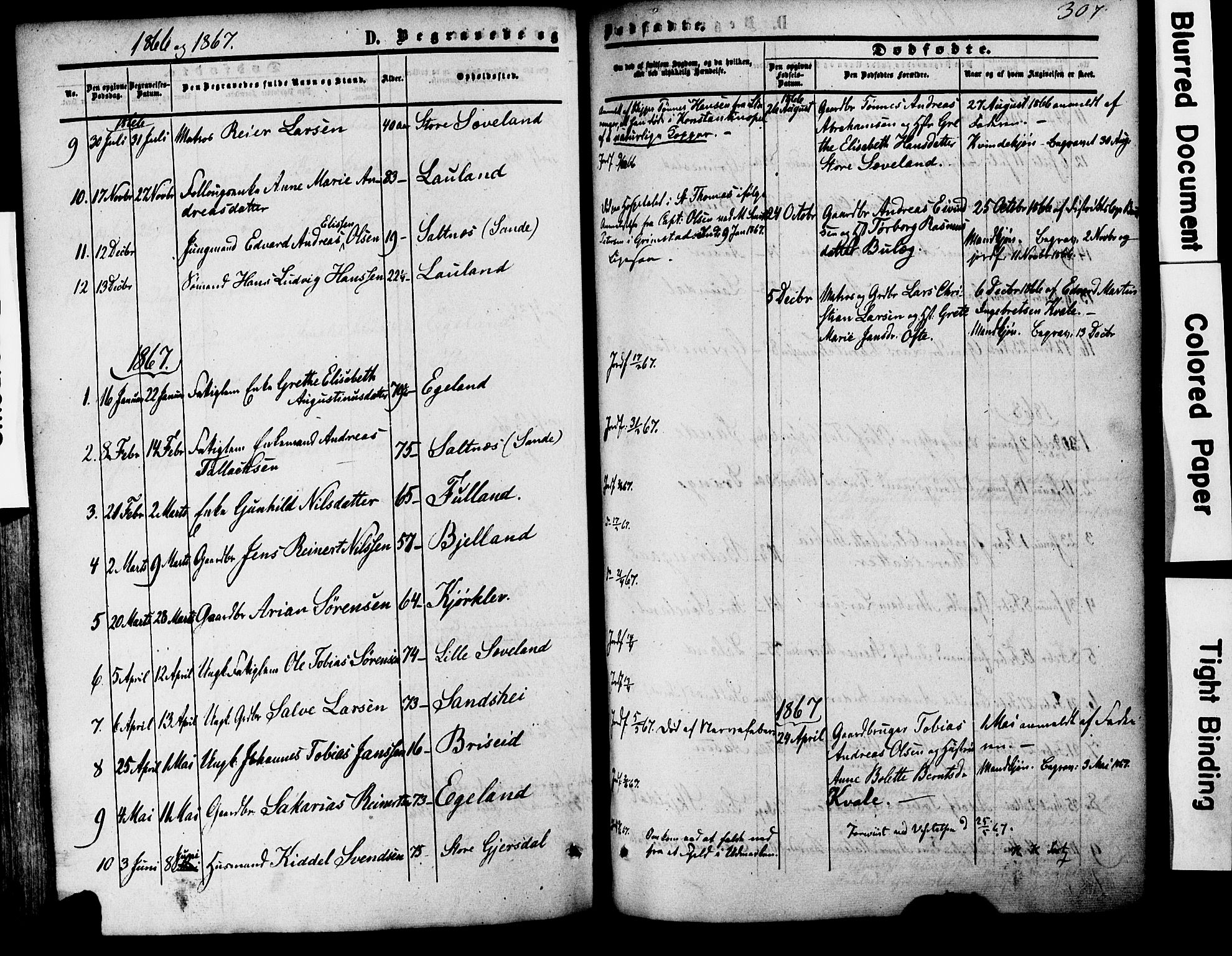 Herad sokneprestkontor, AV/SAK-1111-0018/F/Fa/Faa/L0005: Parish register (official) no. A 5, 1853-1886, p. 307