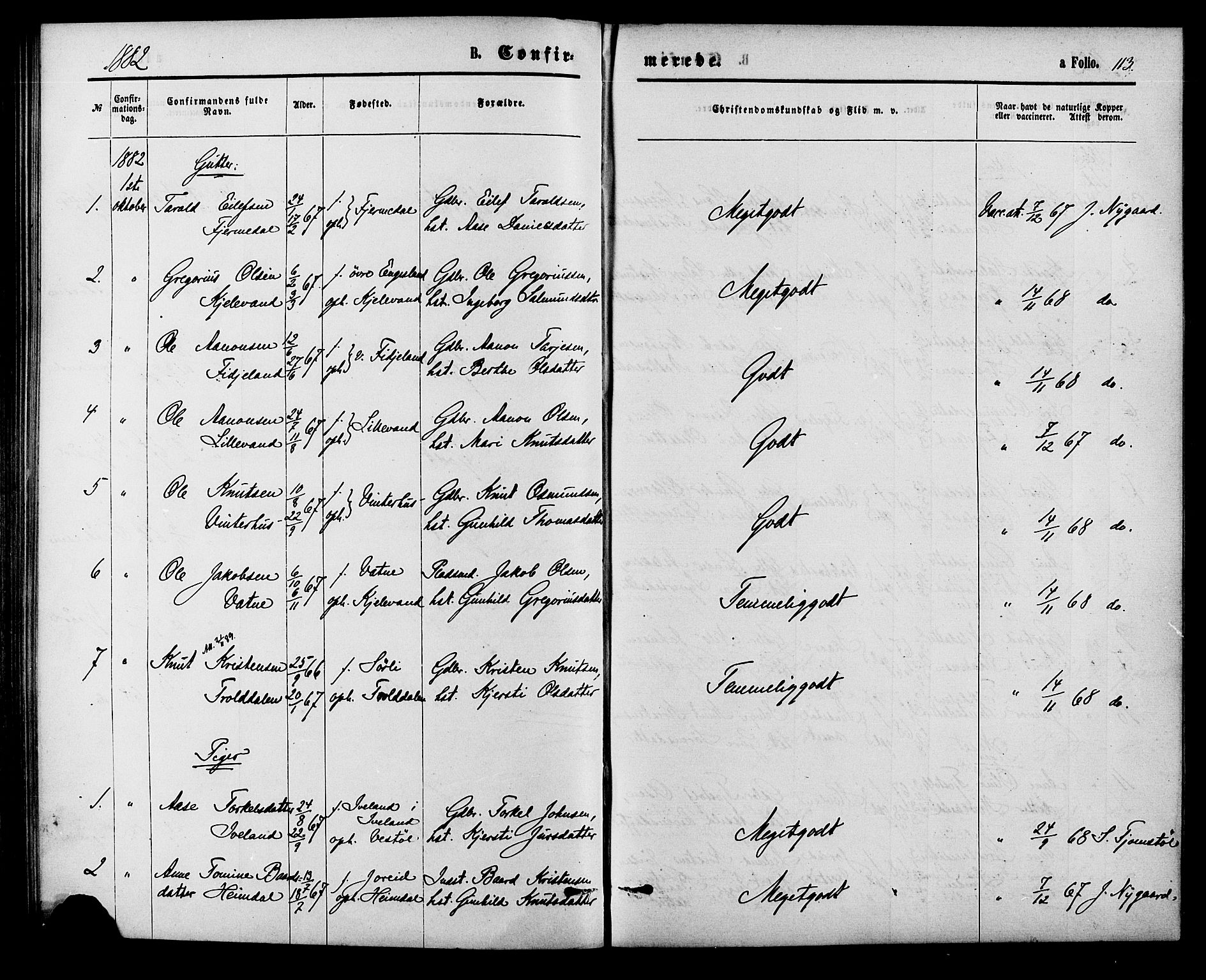 Herefoss sokneprestkontor, AV/SAK-1111-0019/F/Fa/Fab/L0003: Parish register (official) no. A 3, 1875-1886, p. 113