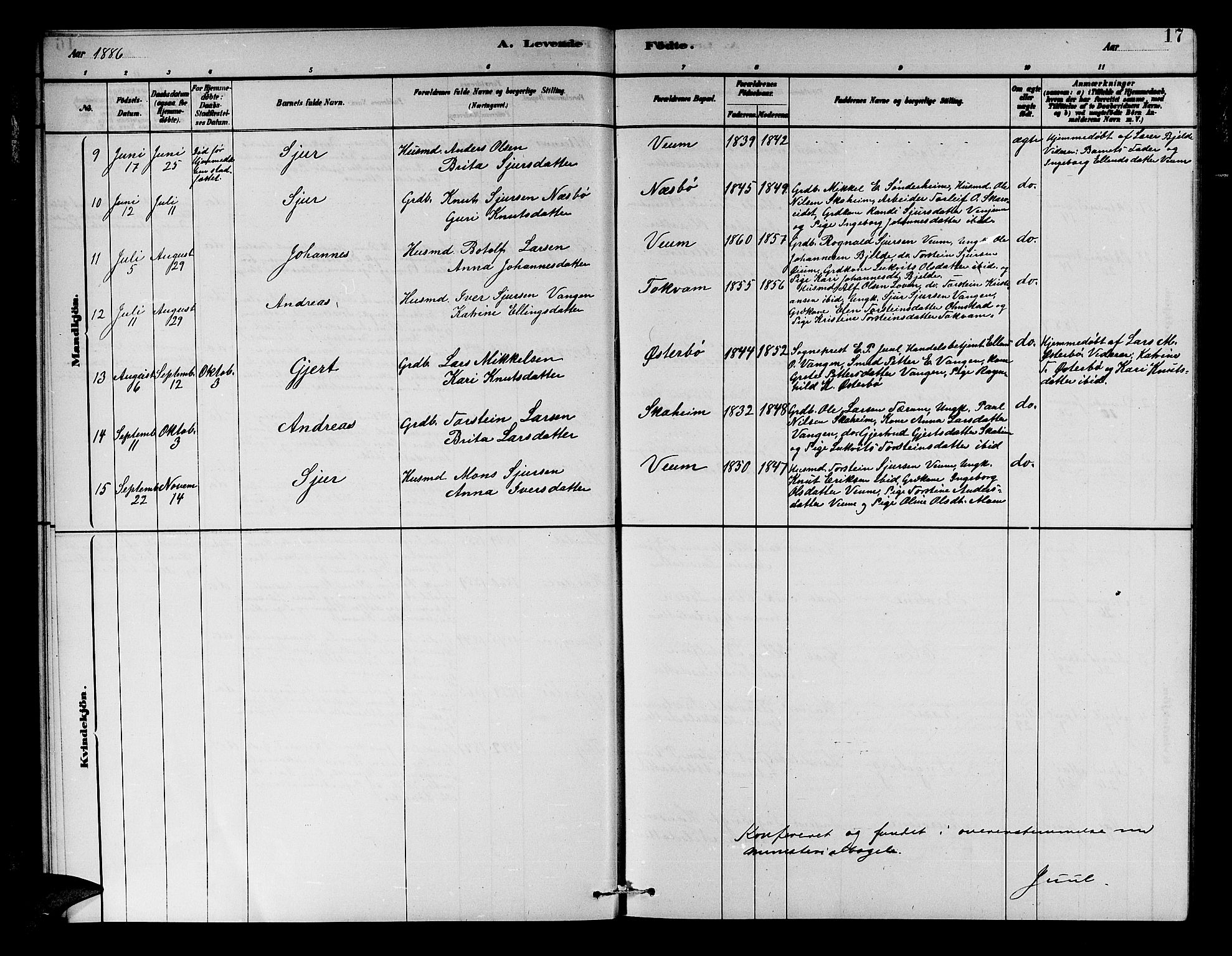 Aurland sokneprestembete, SAB/A-99937/H/Hb/Hba/L0002: Parish register (copy) no. A 2, 1880-1895, p. 17