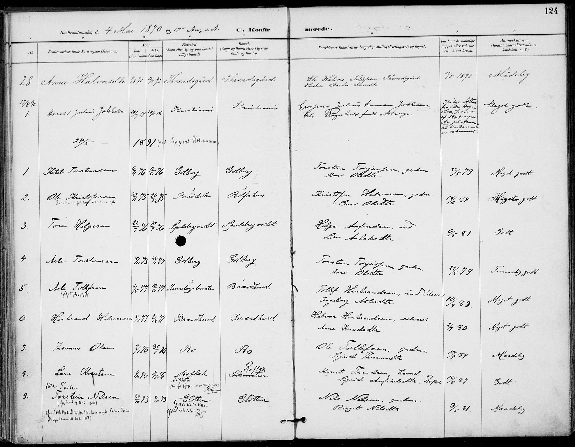 Gol kirkebøker, SAKO/A-226/F/Fa/L0005: Parish register (official) no. I 5, 1887-1900, p. 124