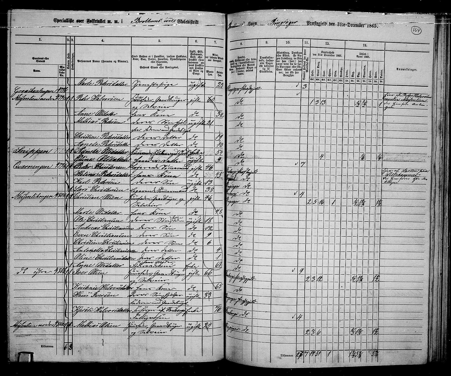 RA, 1865 census for Ringsaker, 1865, p. 408