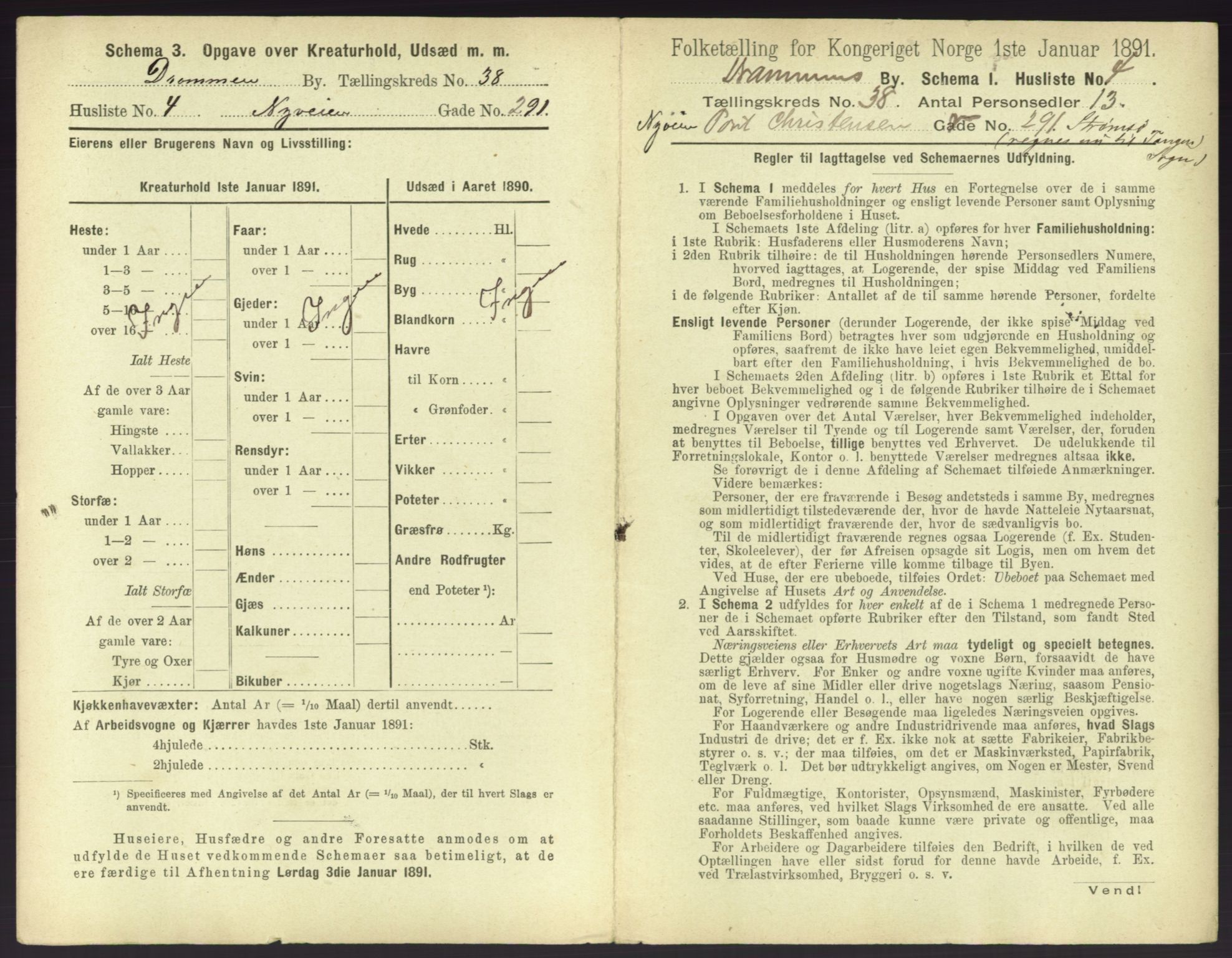 RA, 1891 census for 0602 Drammen, 1891, p. 3417