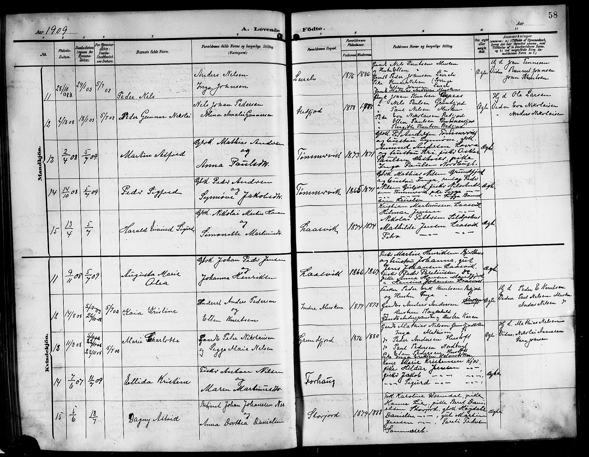 Ministerialprotokoller, klokkerbøker og fødselsregistre - Nordland, SAT/A-1459/861/L0877: Parish register (copy) no. 861C03, 1903-1919, p. 58