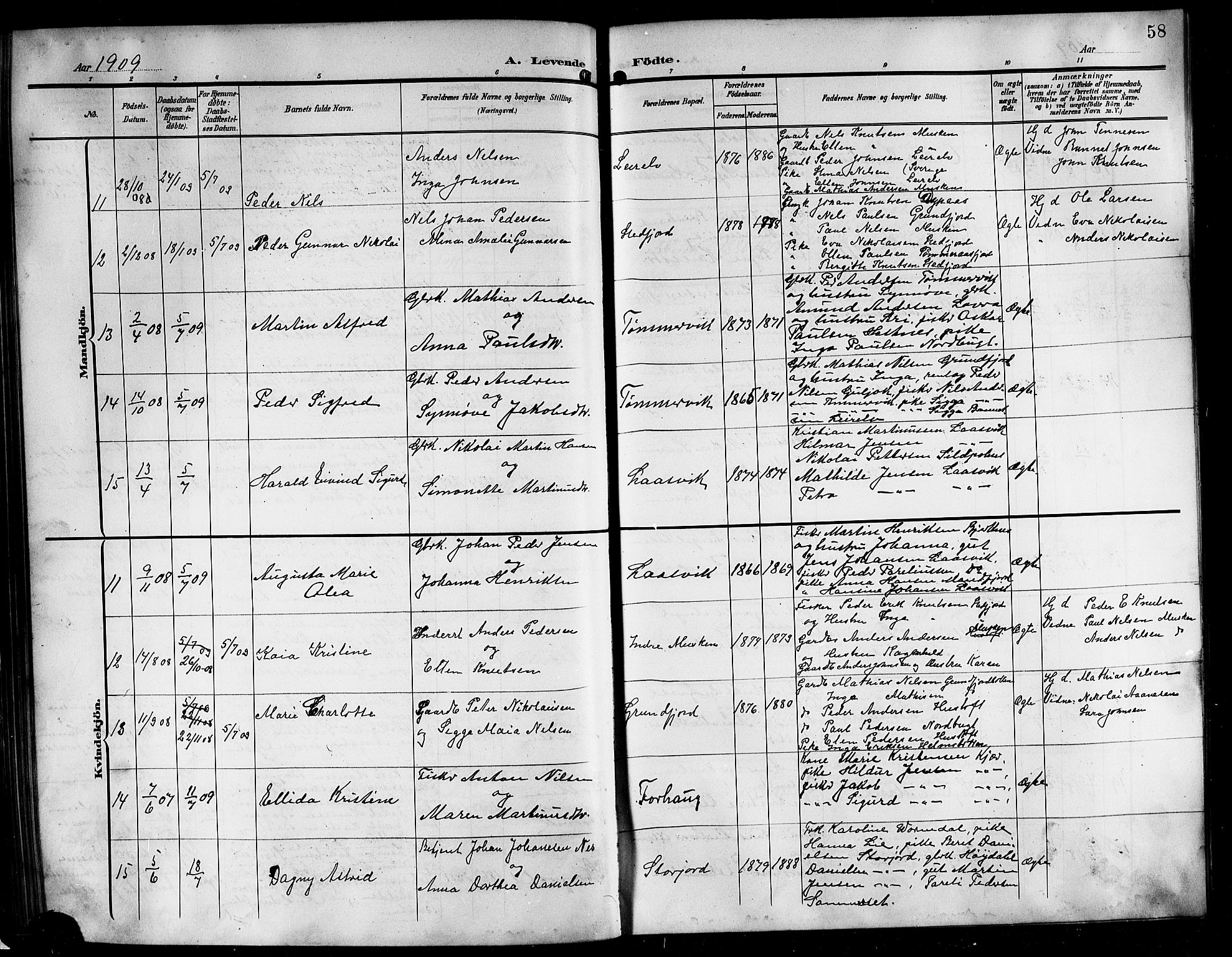 Ministerialprotokoller, klokkerbøker og fødselsregistre - Nordland, AV/SAT-A-1459/861/L0877: Parish register (copy) no. 861C03, 1903-1919, p. 58