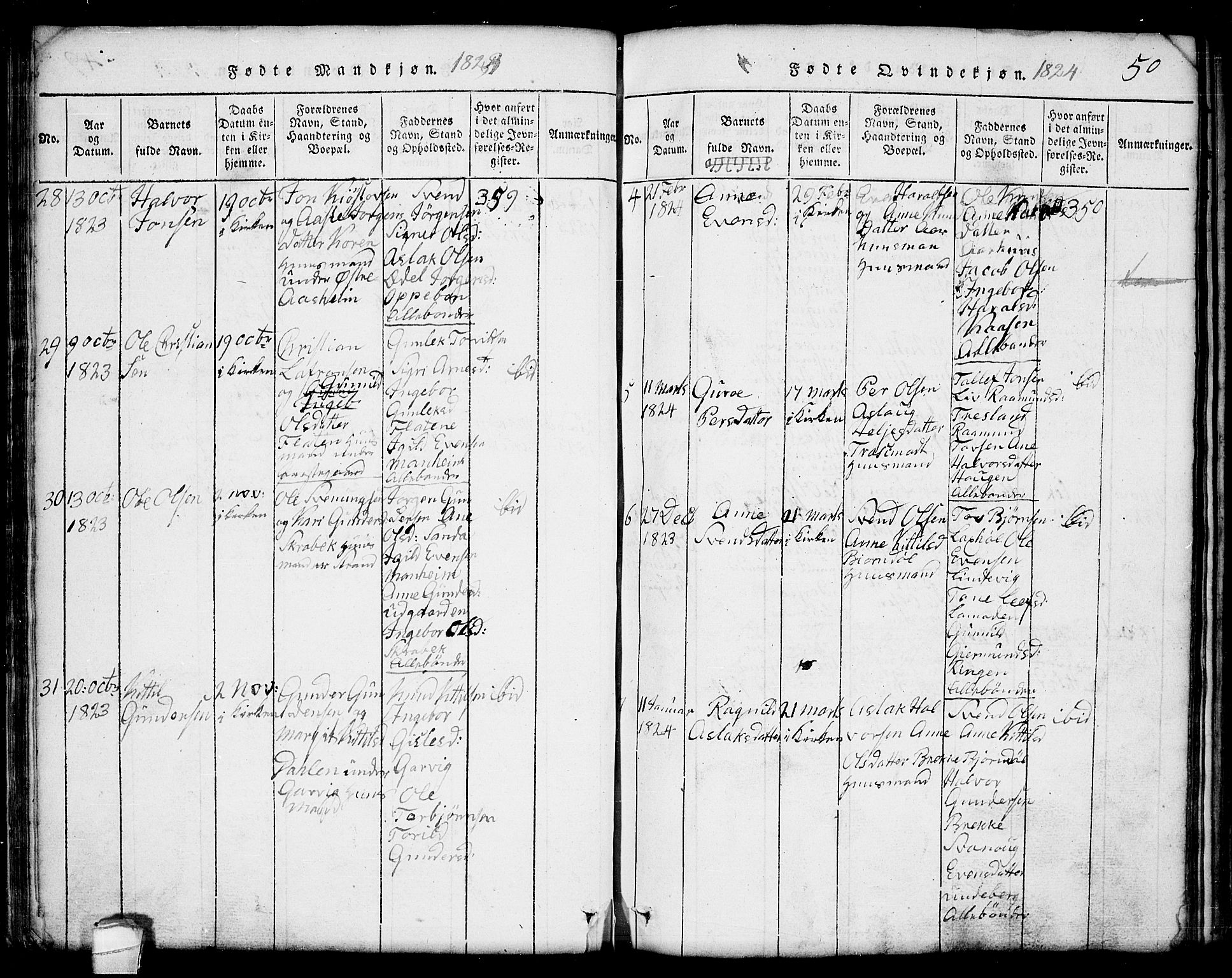 Seljord kirkebøker, AV/SAKO-A-20/G/Ga/L0001: Parish register (copy) no. I 1, 1815-1854, p. 50