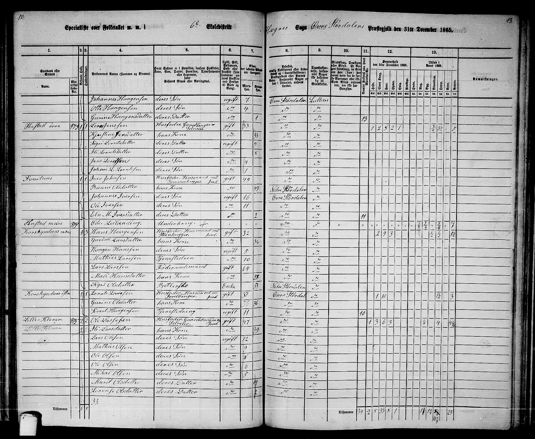 RA, 1865 census for Øvre Stjørdal, 1865, p. 100