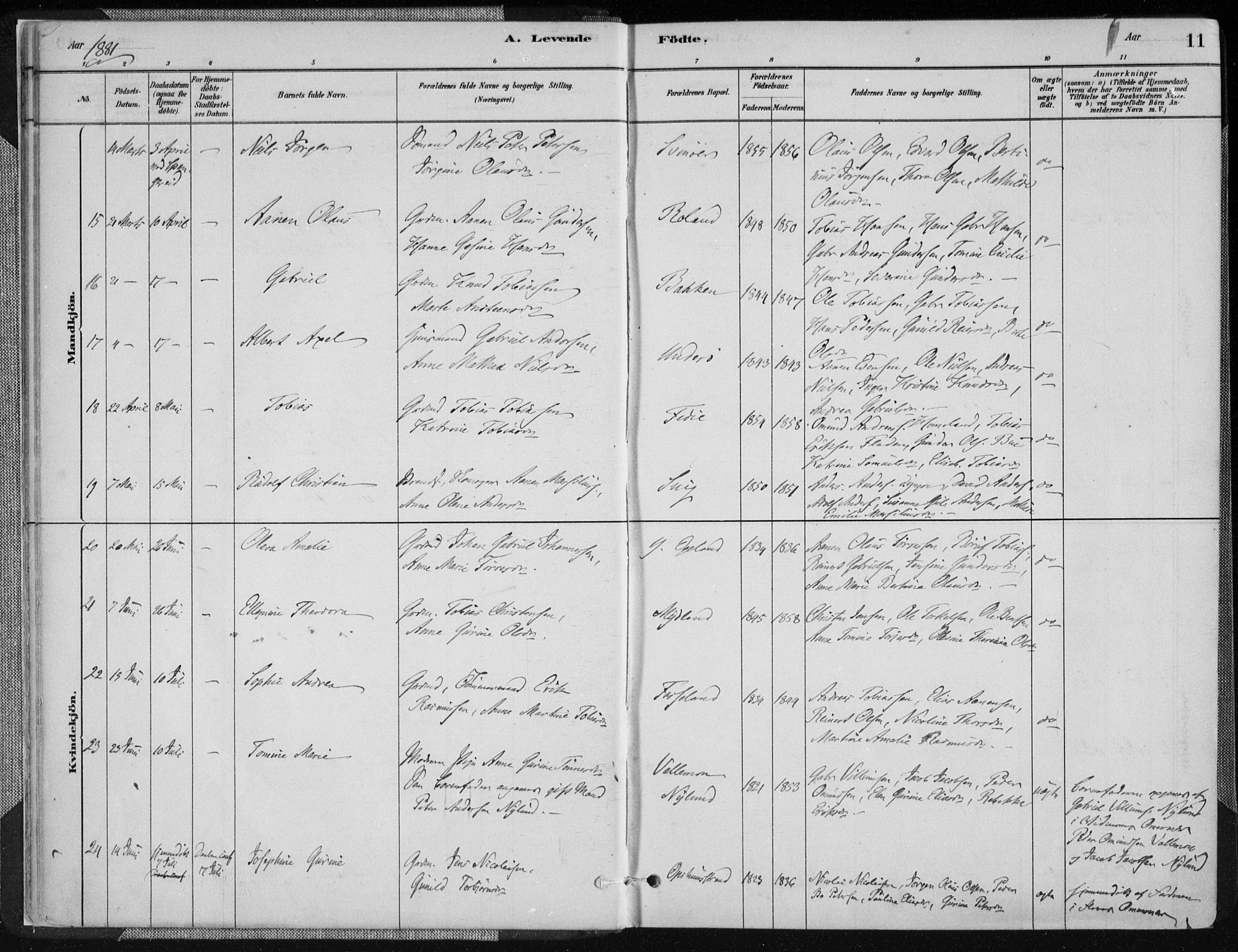 Sør-Audnedal sokneprestkontor, AV/SAK-1111-0039/F/Fa/Fab/L0009: Parish register (official) no. A 9, 1880-1895, p. 11