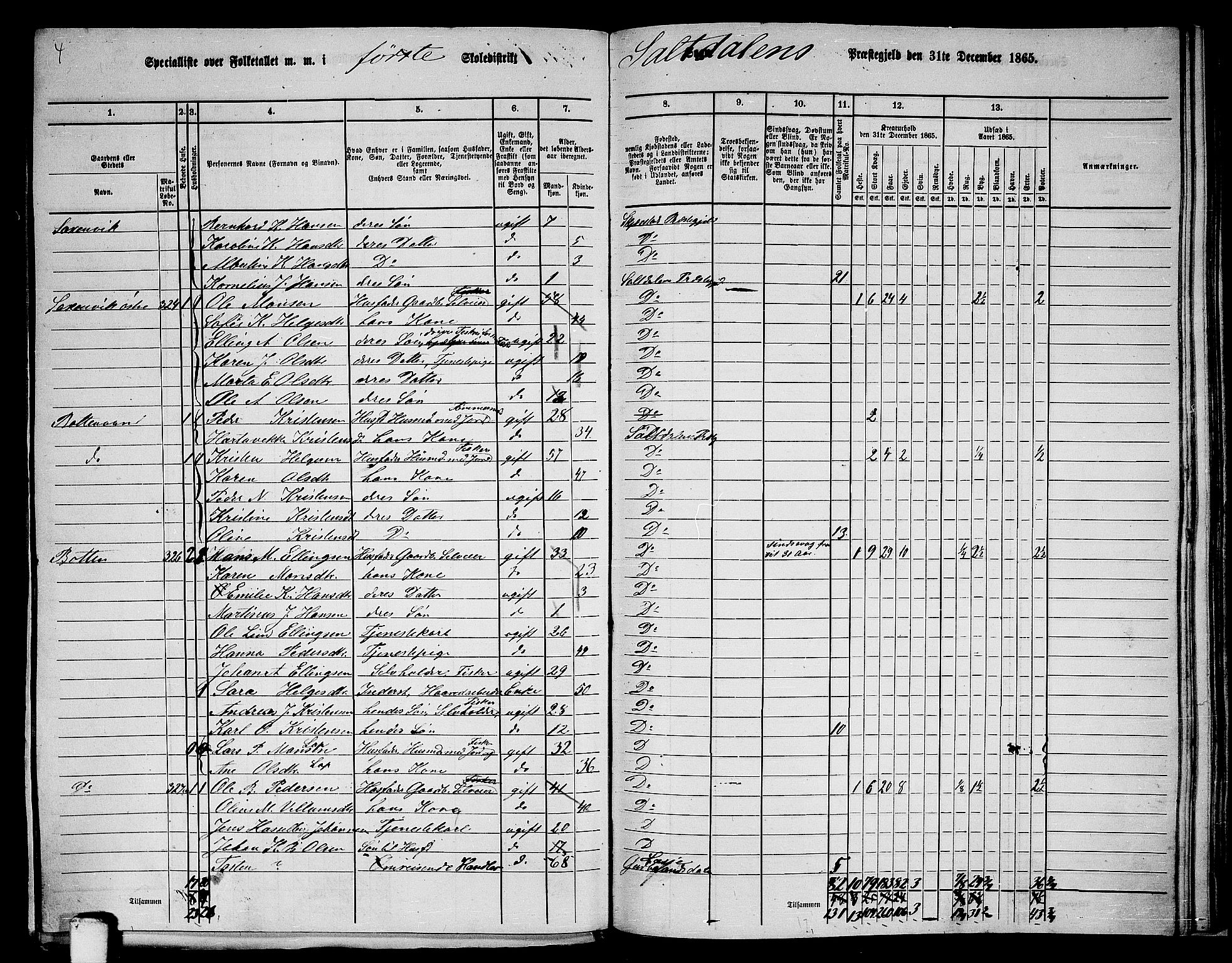 RA, 1865 census for Saltdal, 1865, p. 22