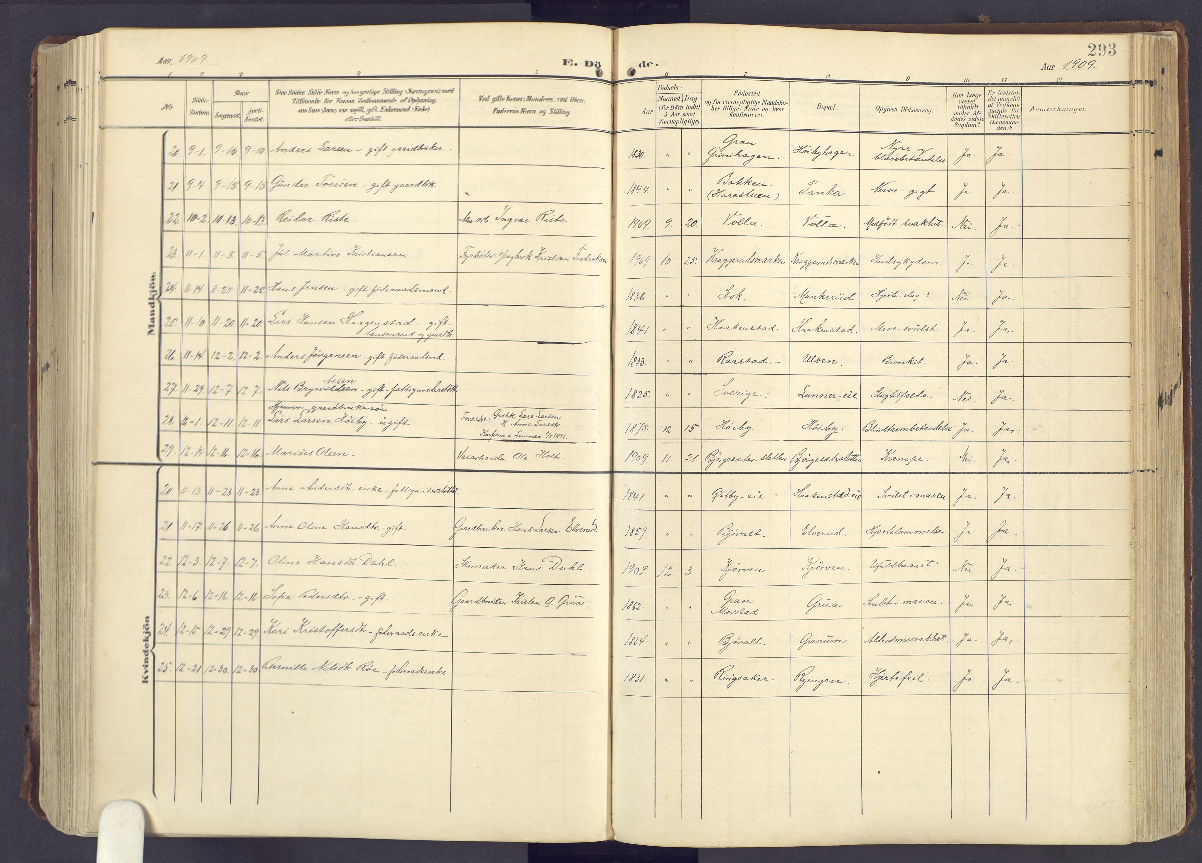 Lunner prestekontor, AV/SAH-PREST-118/H/Ha/Haa/L0001: Parish register (official) no. 1, 1907-1922, p. 293