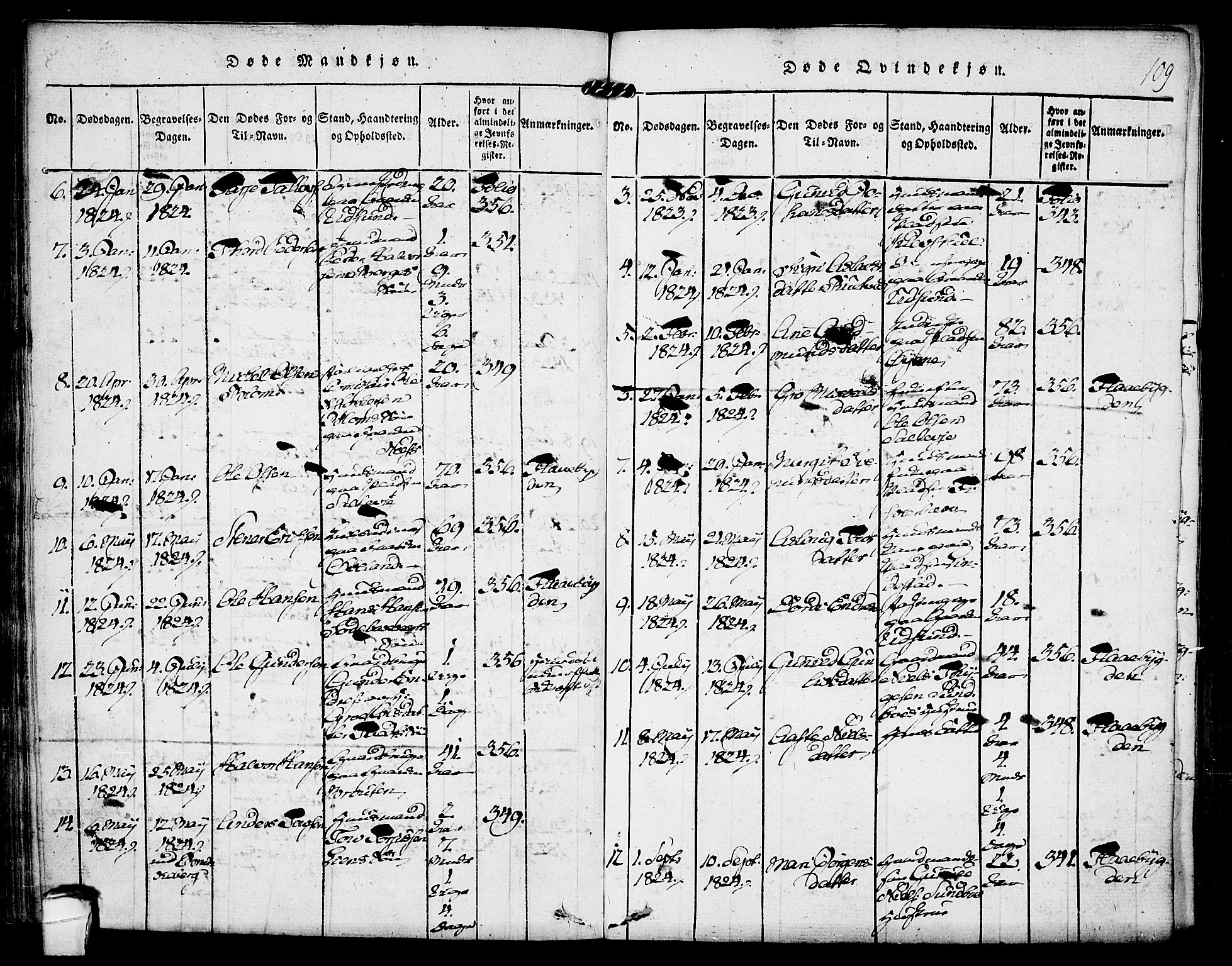 Kviteseid kirkebøker, SAKO/A-276/F/Fa/L0005: Parish register (official) no. I 5, 1815-1836, p. 109