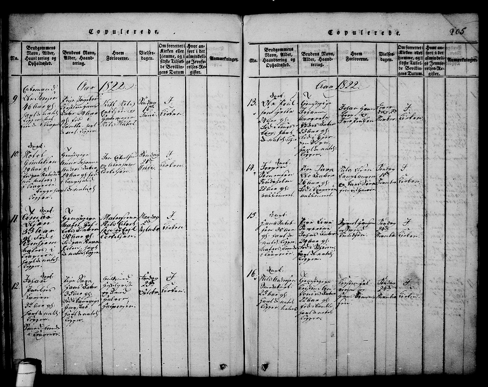 Kragerø kirkebøker, SAKO/A-278/G/Ga/L0002: Parish register (copy) no. 2, 1814-1831, p. 205
