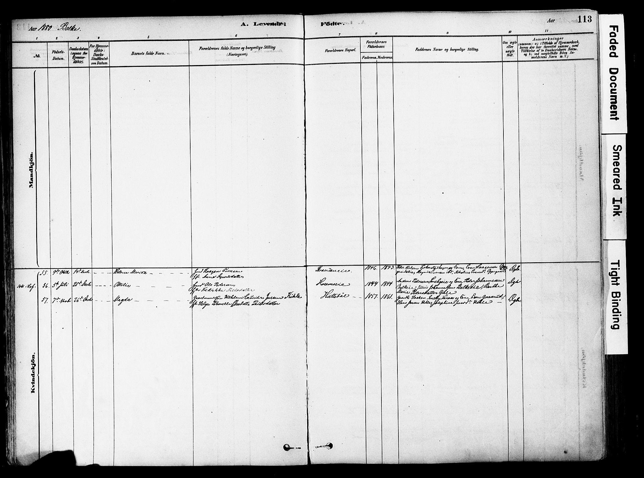 Østre Toten prestekontor, SAH/PREST-104/H/Ha/Haa/L0006: Parish register (official) no. 6 /2, 1878-1880, p. 113